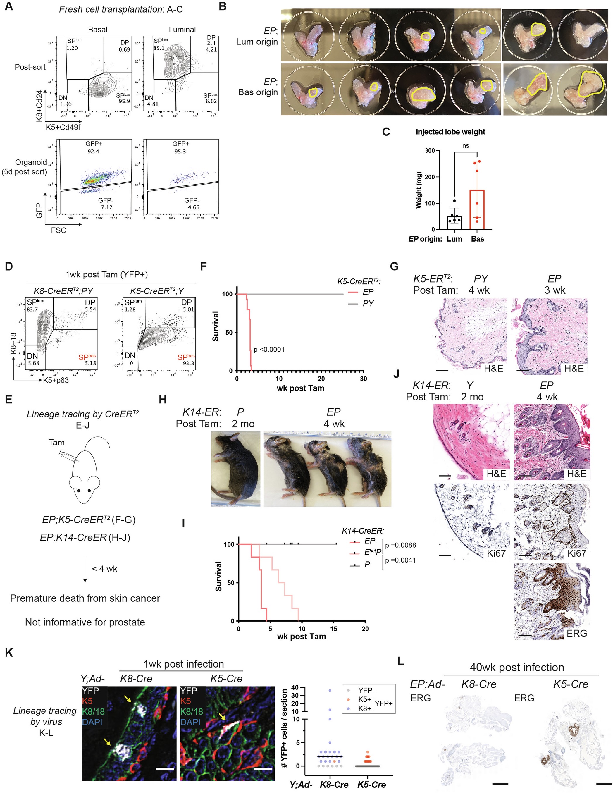 Extended Data Fig. 1