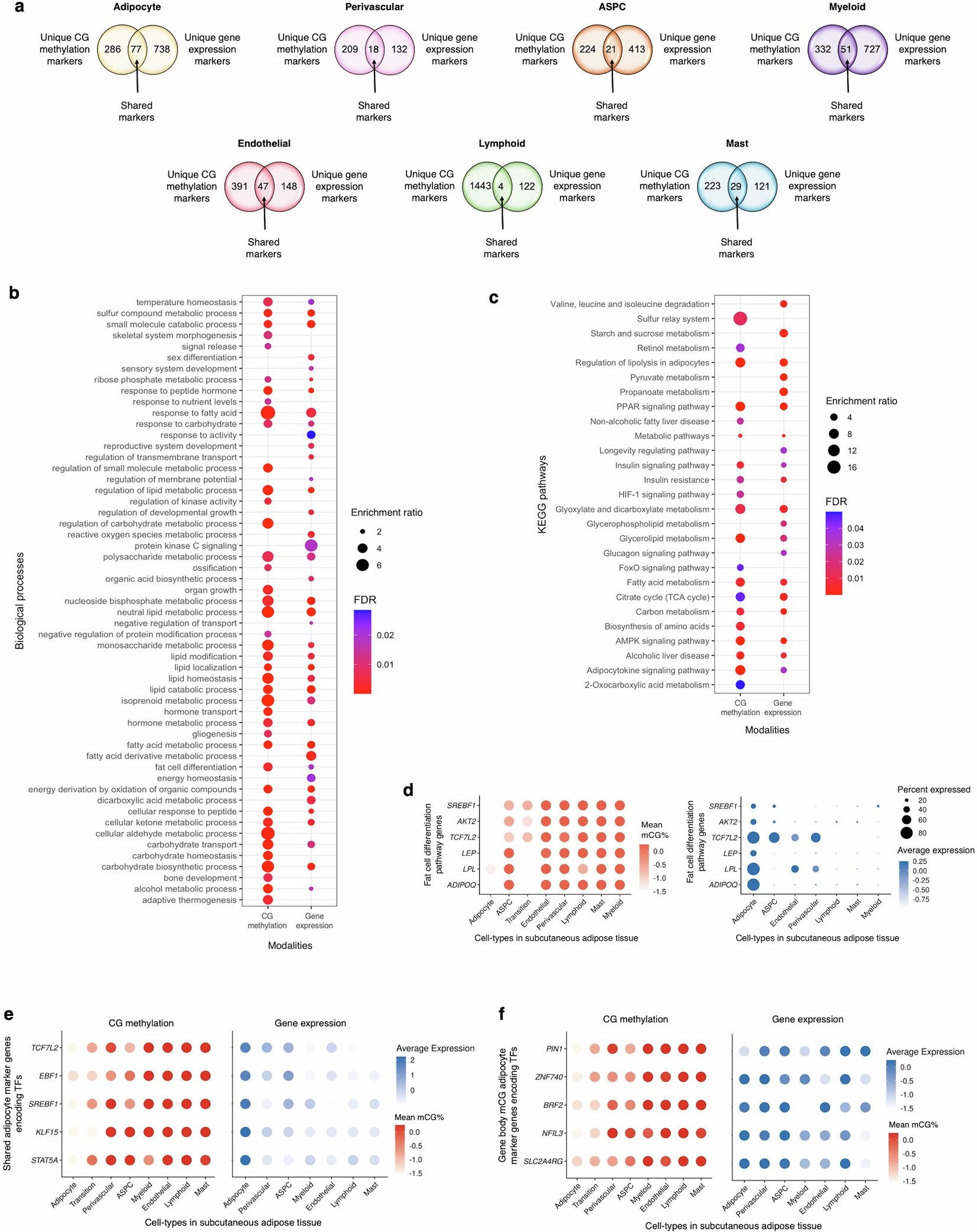 Extended Data Fig. 3: Comparisons of unique cell-type marker genes in SAT cell-types, and biological processes and functional pathways enriched among the adipocyte marker genes between the gene body mCG and gene expression modalities, as well as both known and less-known transcription factors (TFs) in SAT.