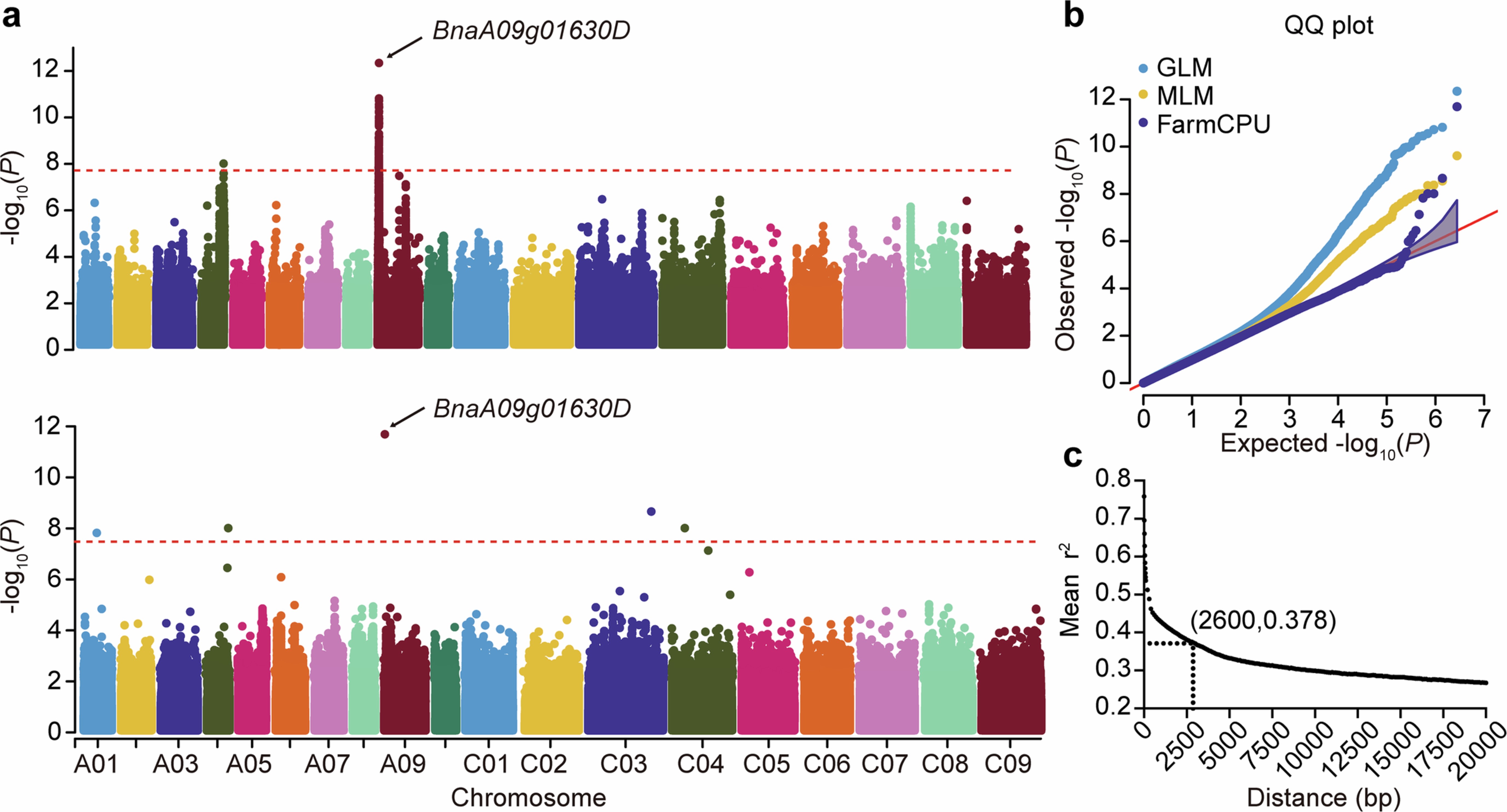 Extended Data Fig. 2: GWAS of field clubroot phenotyping in B. napus accessions with multiple models.