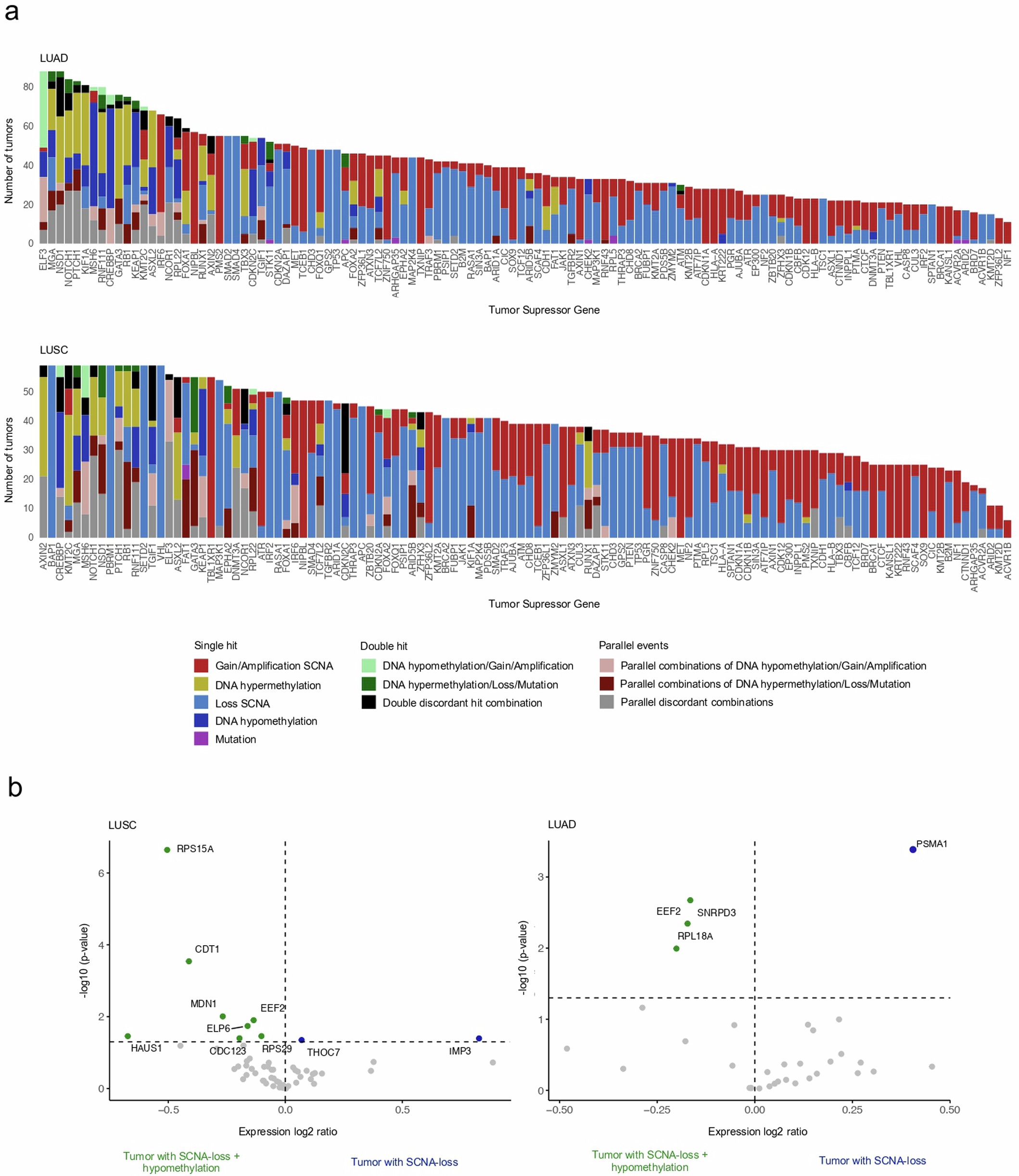 Extended Data Fig. 6: Divergent interplay between DNA methylation status and genomic alterations in genomic driver genes.