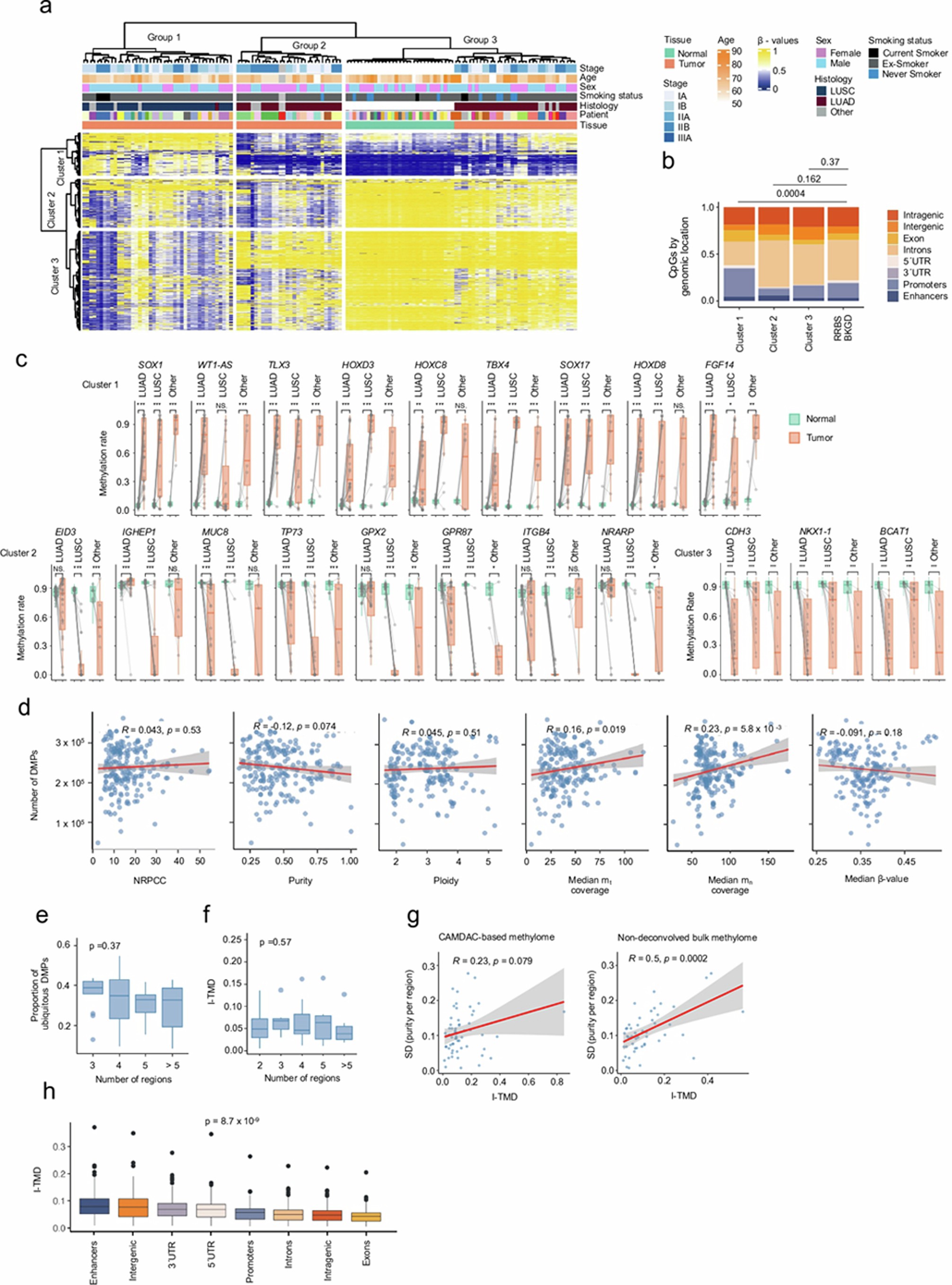 Extended Data Fig. 1: Global DNA methylation landscape in the TRACERx lung cancer study.
