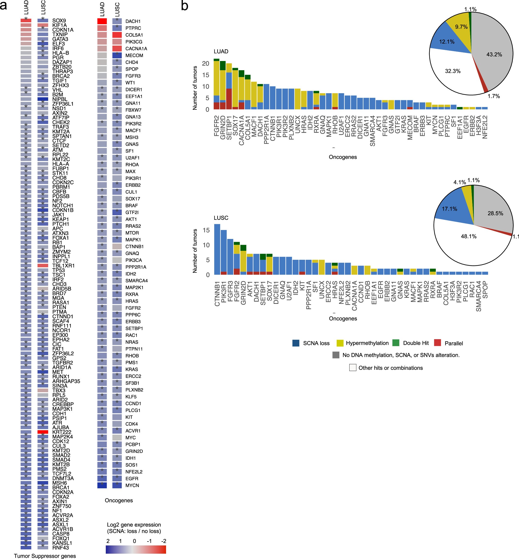 Extended Data Fig. 3: Convergent DNA methylation and genomic alterations in drivers.