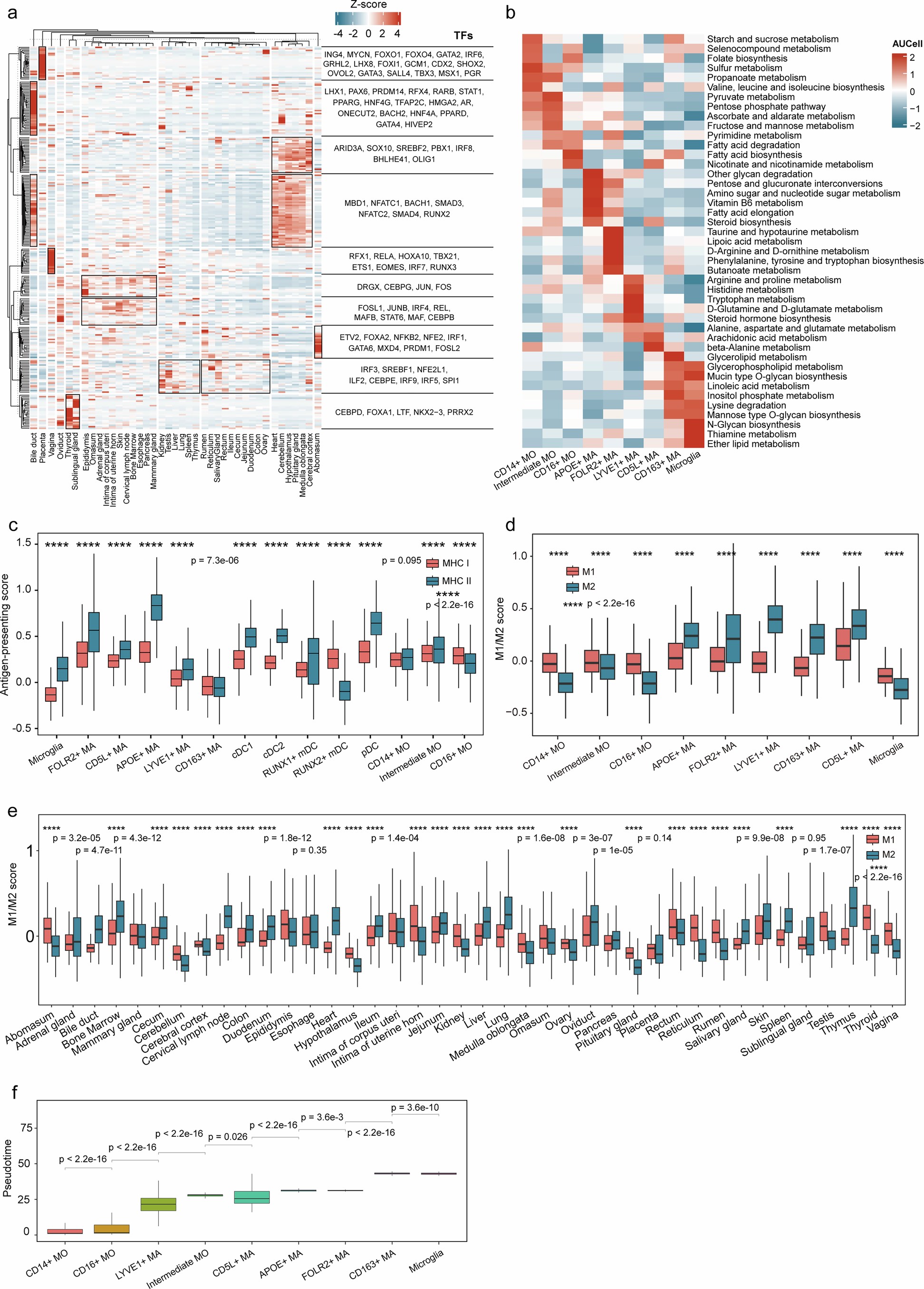 Extended Data Fig. 5: Heterogeneity of macrophages across tissues.