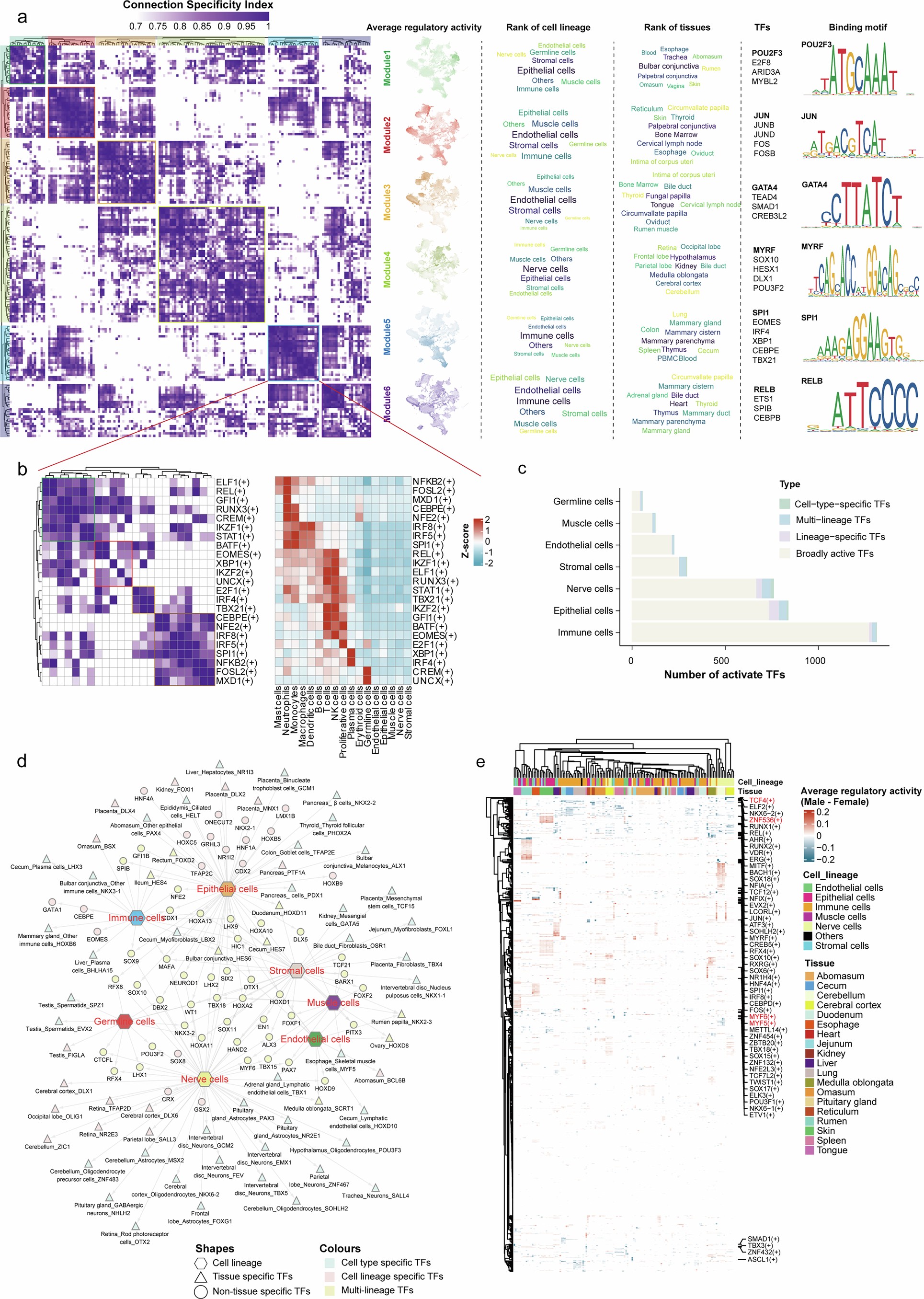 Extended Data Fig. 1: Transcriptional regulatory landscape across tissues and cell types in cattle.