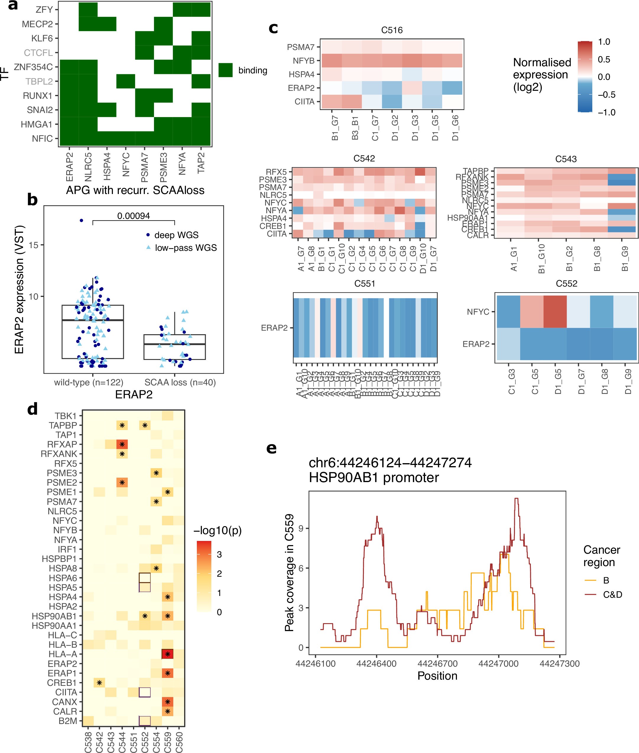 Extended Data Fig. 3: Chromatin-associated and heritable regulation of antigen presenting genes.