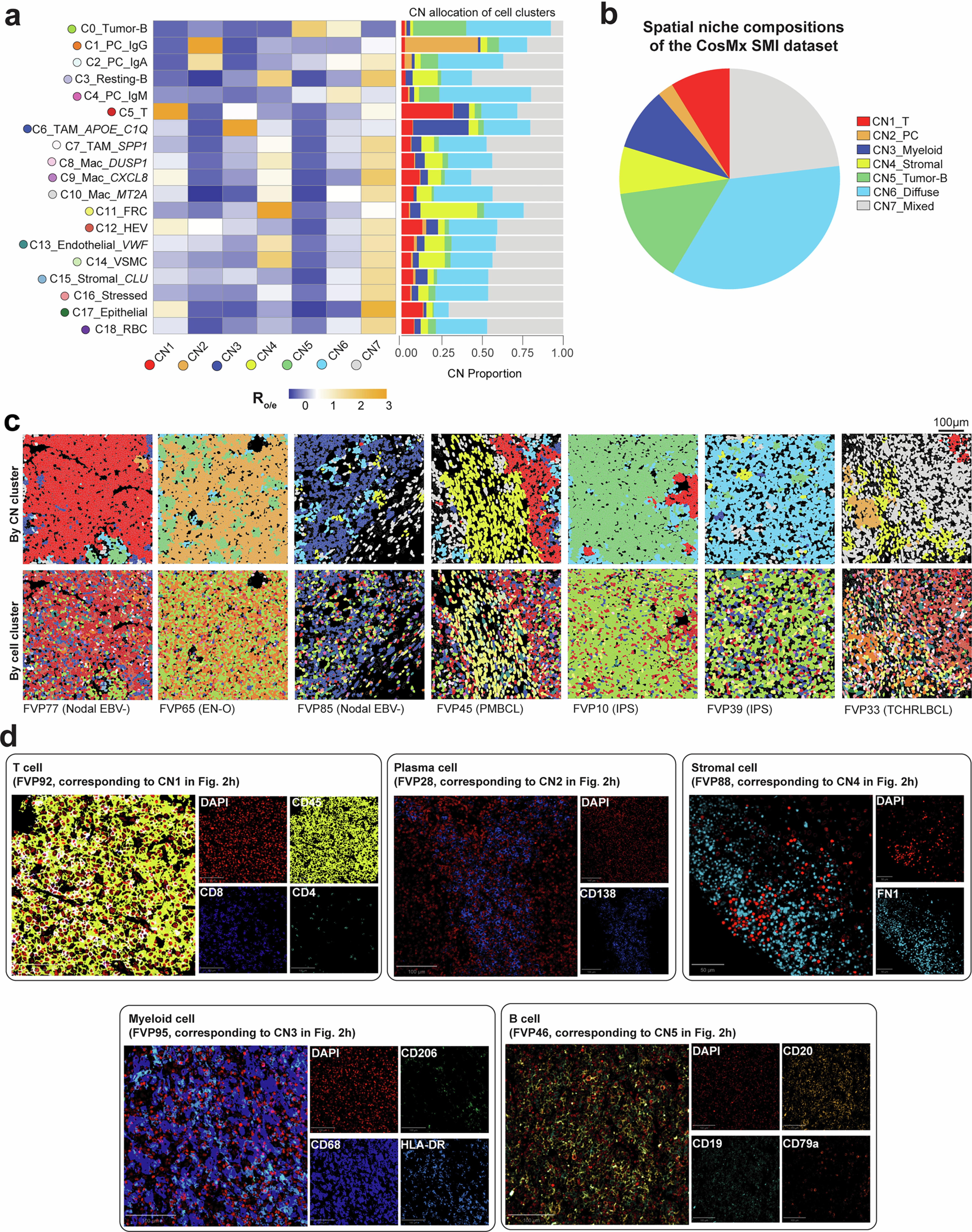 Extended Data Fig. 3: Unique spatial niches identified in CosMx SMI and CODEX.