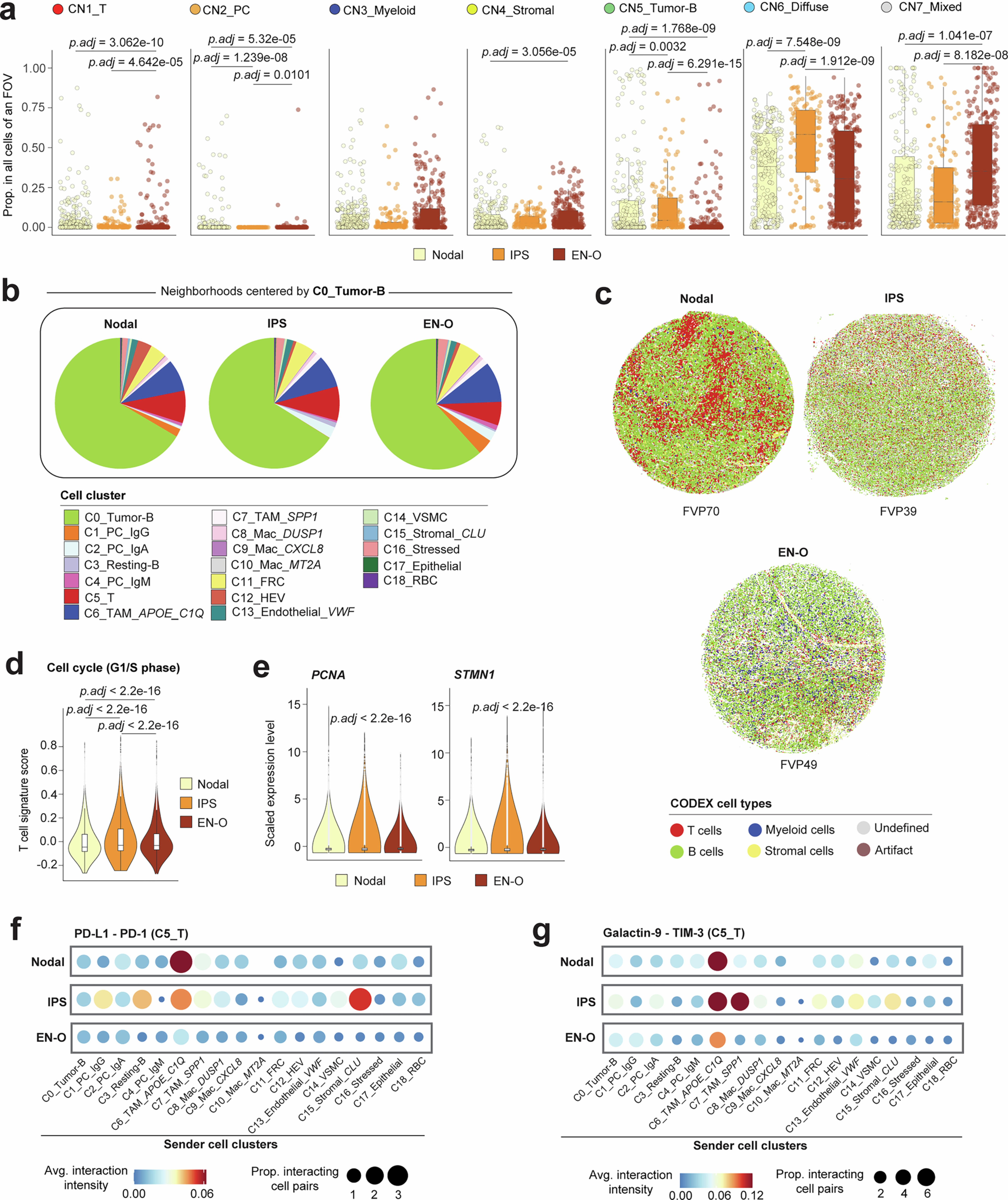 Extended Data Fig. 9: Spatially resolved cellular landscape of B cell lymphoma developed in different anatomical sites.