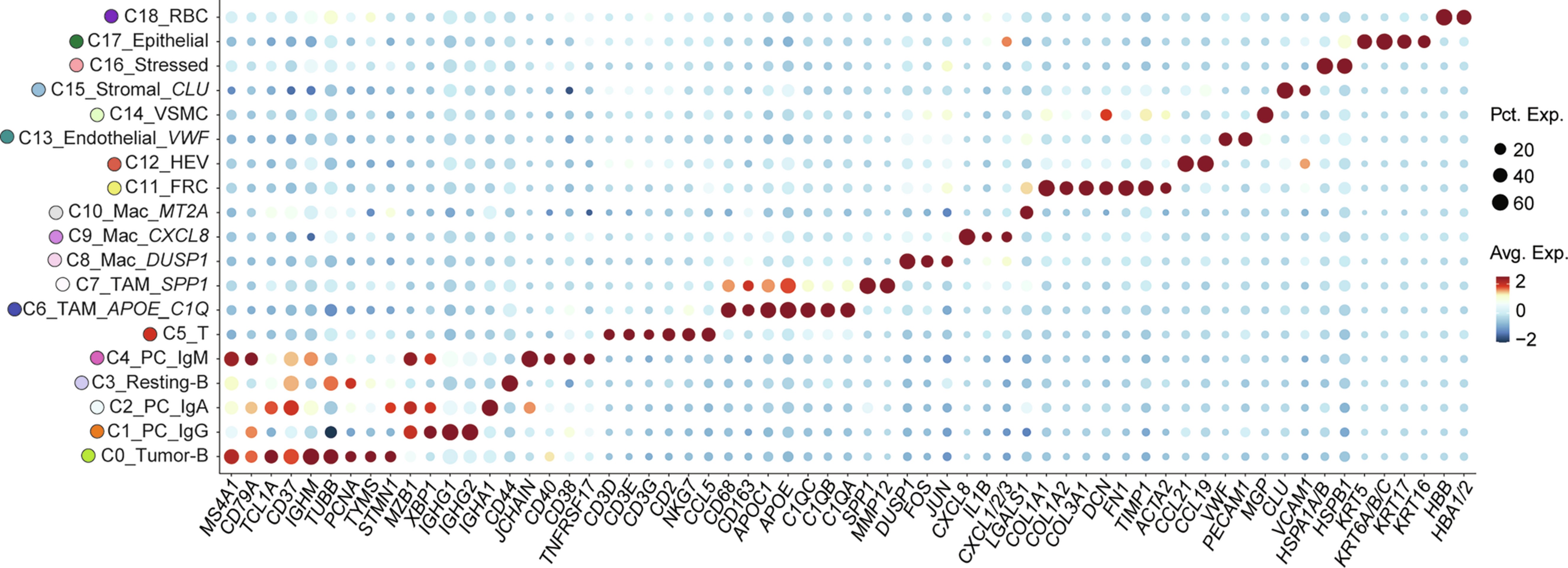 Extended Data Fig. 2: Expression of lineage markers in each cell type.