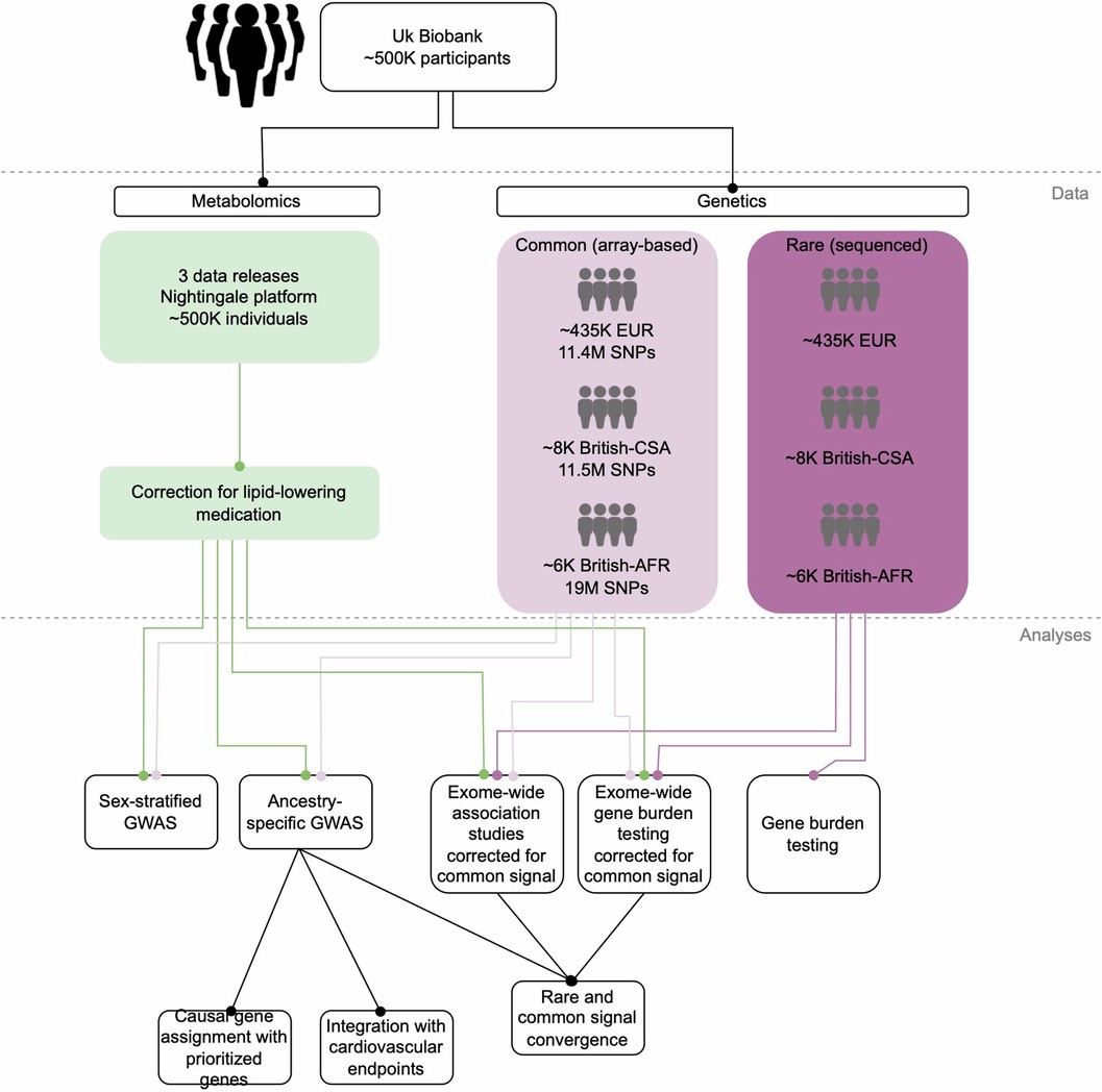 Extended Data Fig. 1: Graphical outline of the study design.