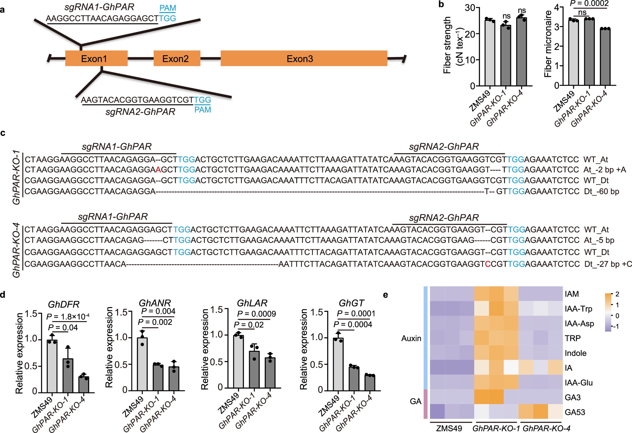 Extended Data Fig. 6: Generation and characterization of GhPAR knockout (GhPAR-KO) lines using CRISPR/Cas9.