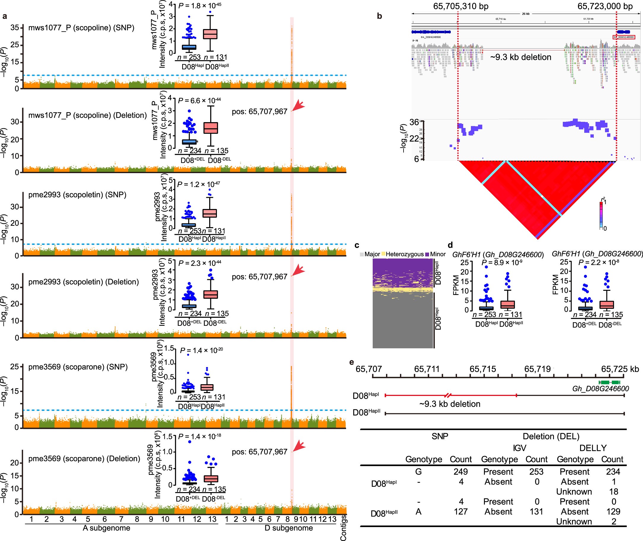 Extended Data Fig. 7: GWAS for coumarins and identification of the candidate gene GhF6’H1.
