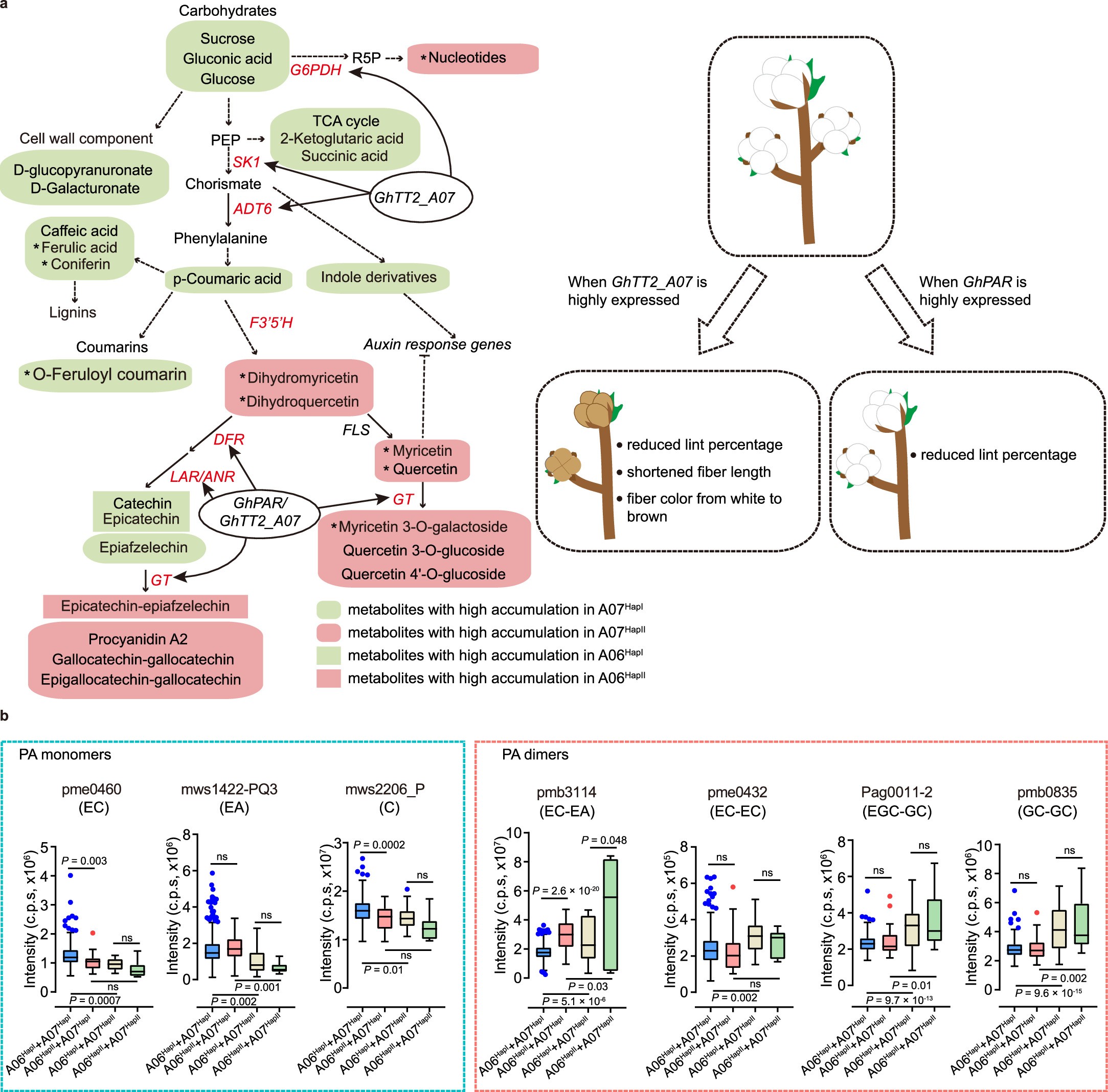 Extended Data Fig. 9: The effect assessment of two MYB homologous genes.