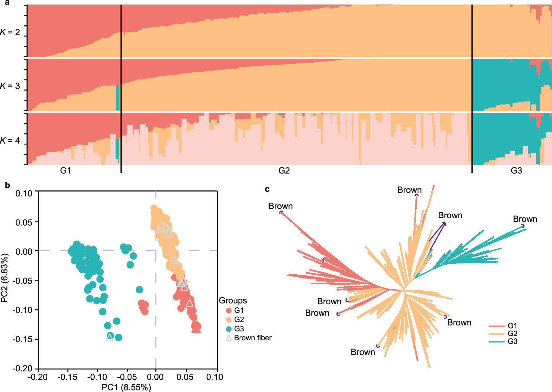 Extended Data Fig. 2: Genetic diversity of 403 accessions based on genotype data.