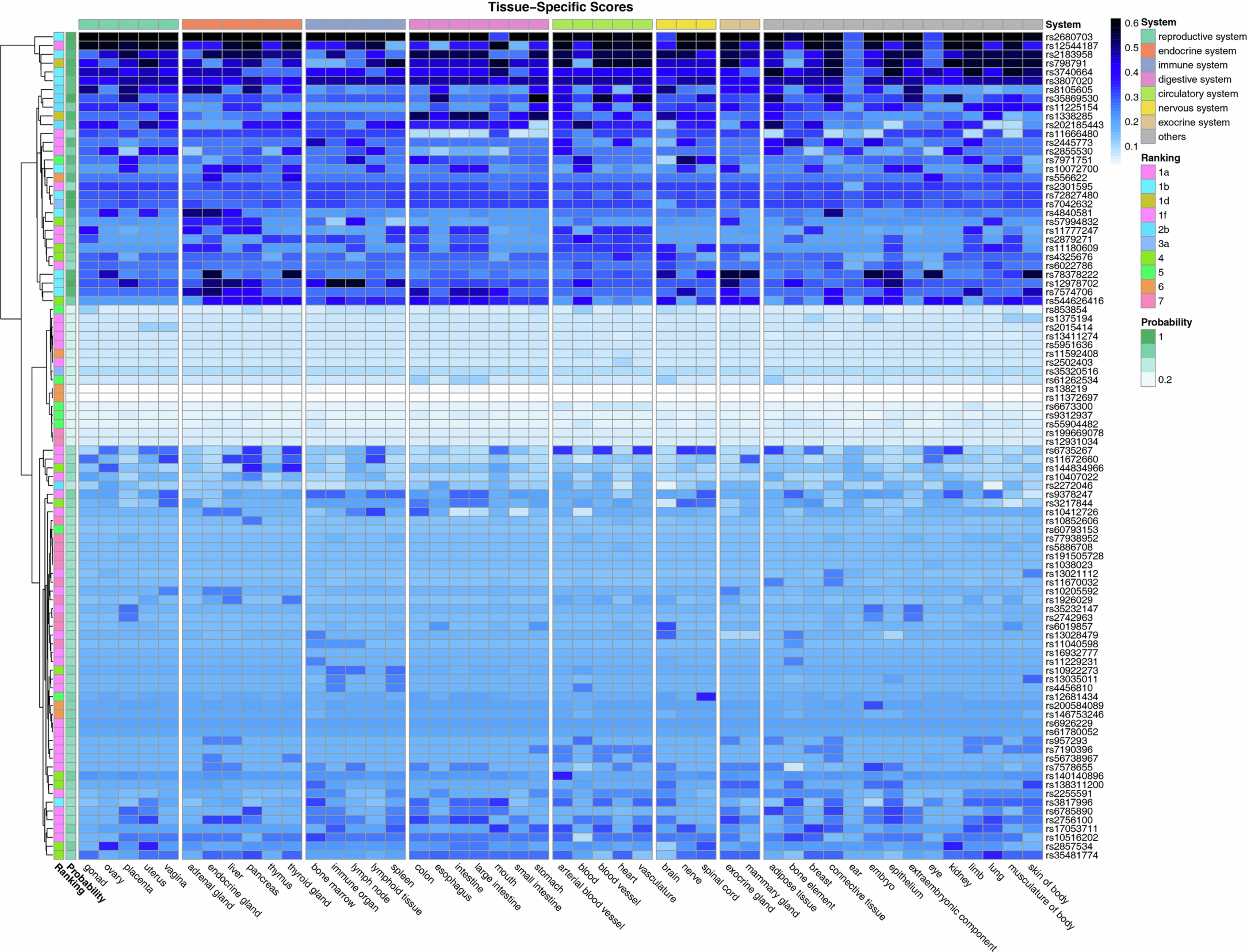 Extended Data Fig. 3: Tissue-specific regulatory scores for polycystic ovary syndrome associated lead variants.