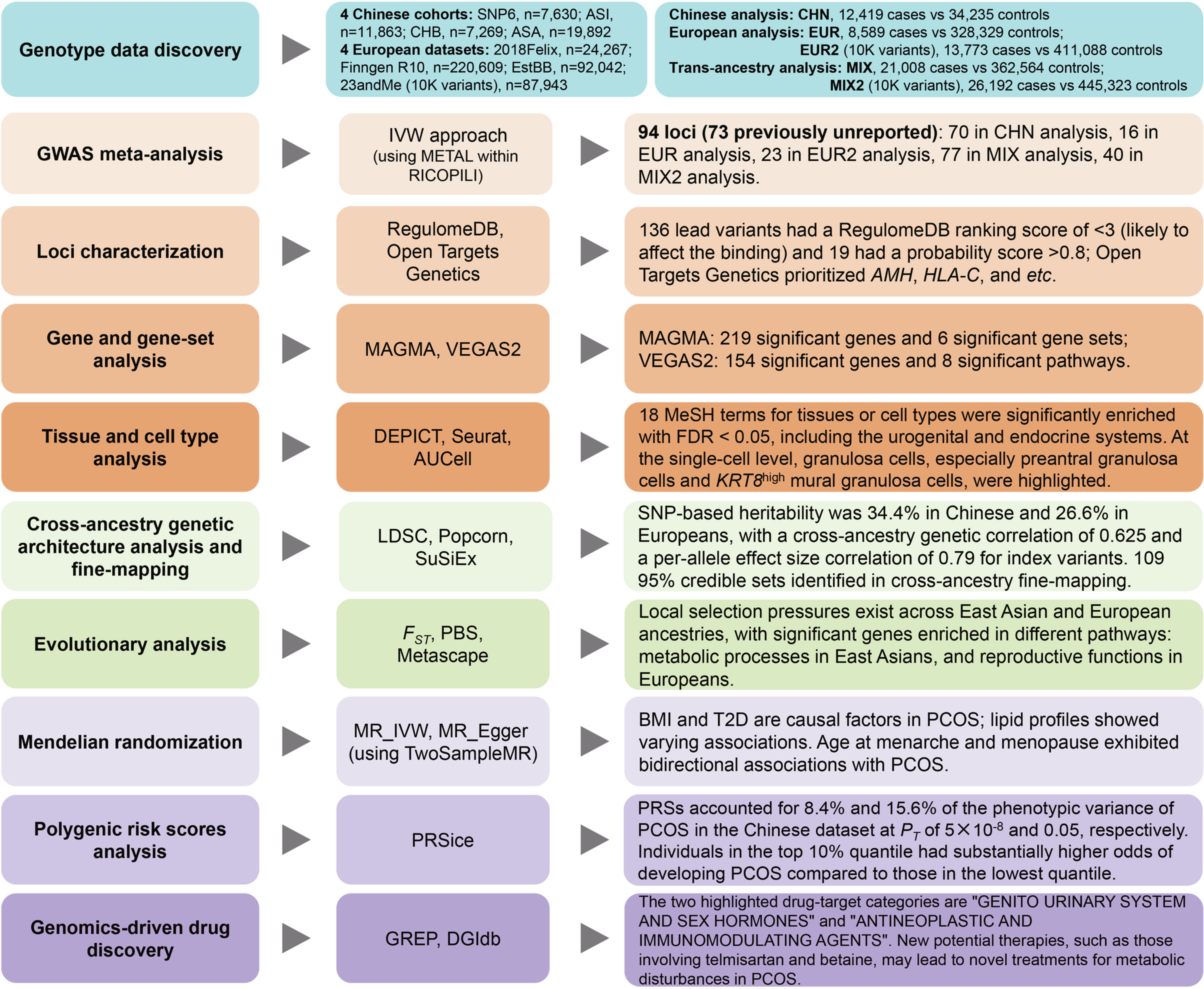 Extended Data Fig. 1: Workflow for polycystic ovary syndrome genome-wide association study.
