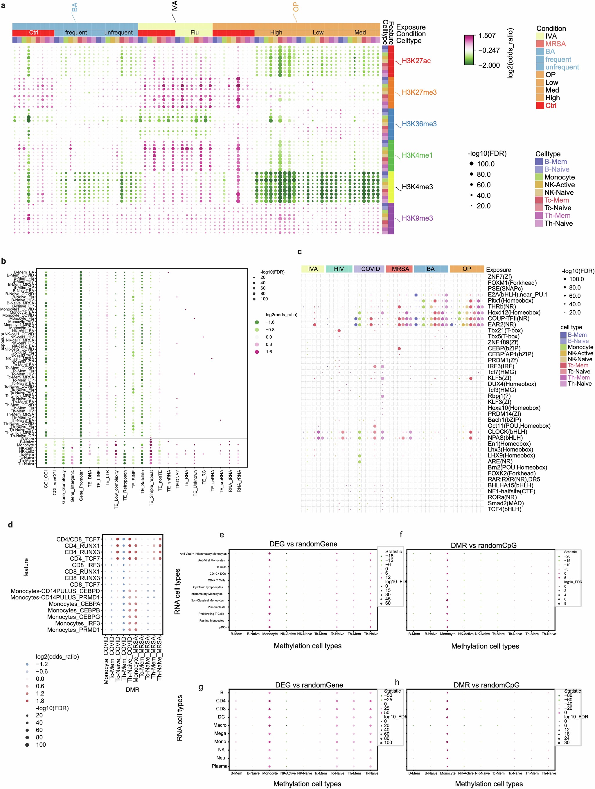 Extended Data Fig. 6: Features of eDMRs.