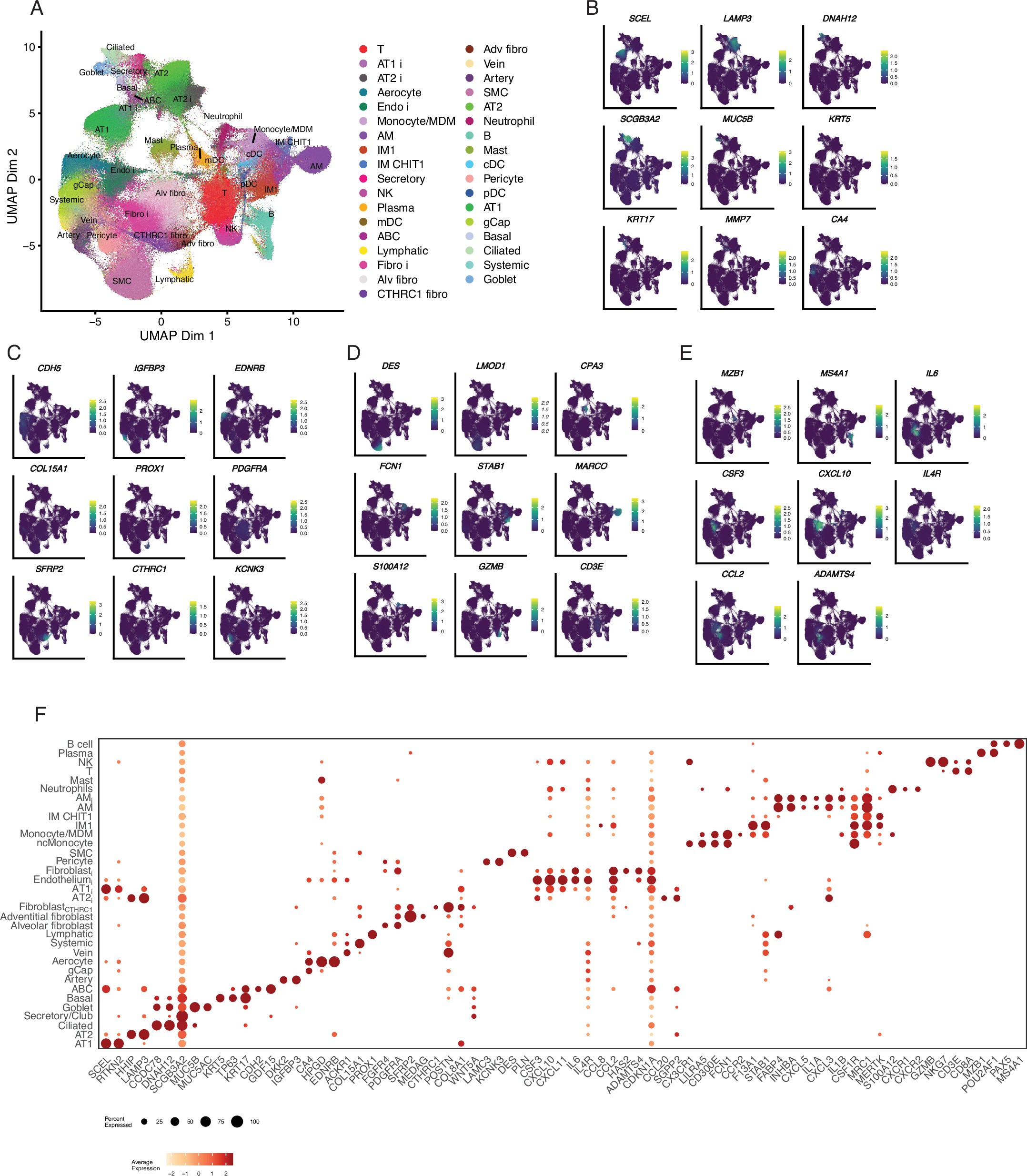 Extended Data Fig. 5: Xenium spatial transcriptomics-defined cell populations.