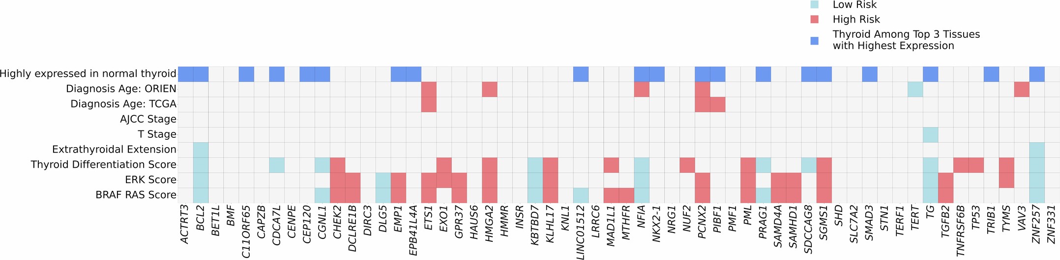 Extended Data Fig. 4: mRNA expression of thyroid cancer-associated genes in normal thyroid tissue and thyroid cancer.