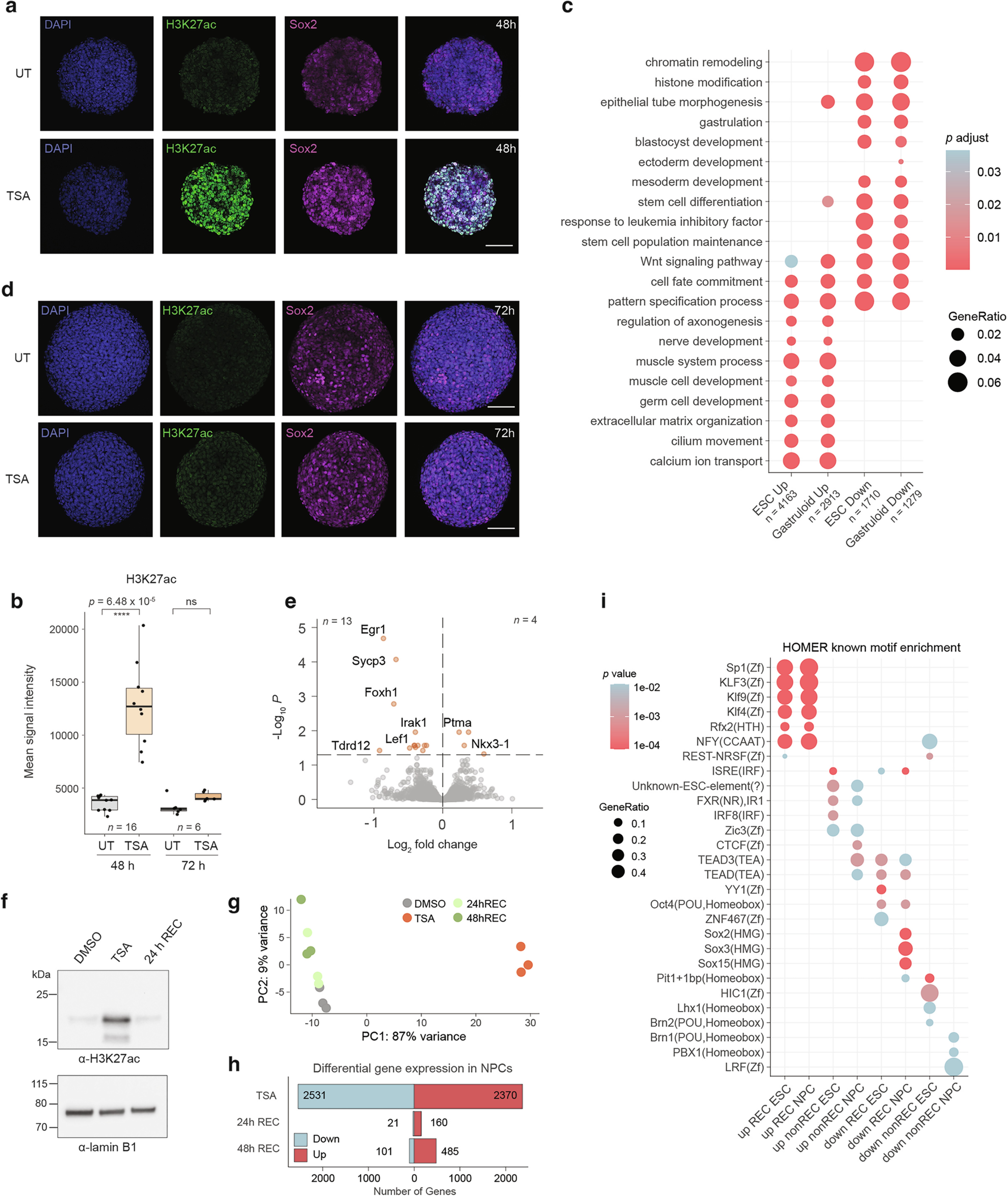 Extended Data Fig. 7
