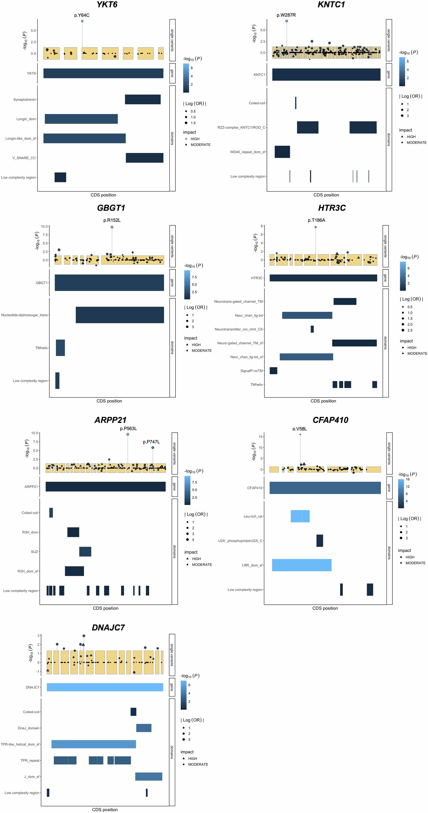 Extended Data Fig. 2: Mutation plots for genes identified in rare single variant or URV burden analyses.