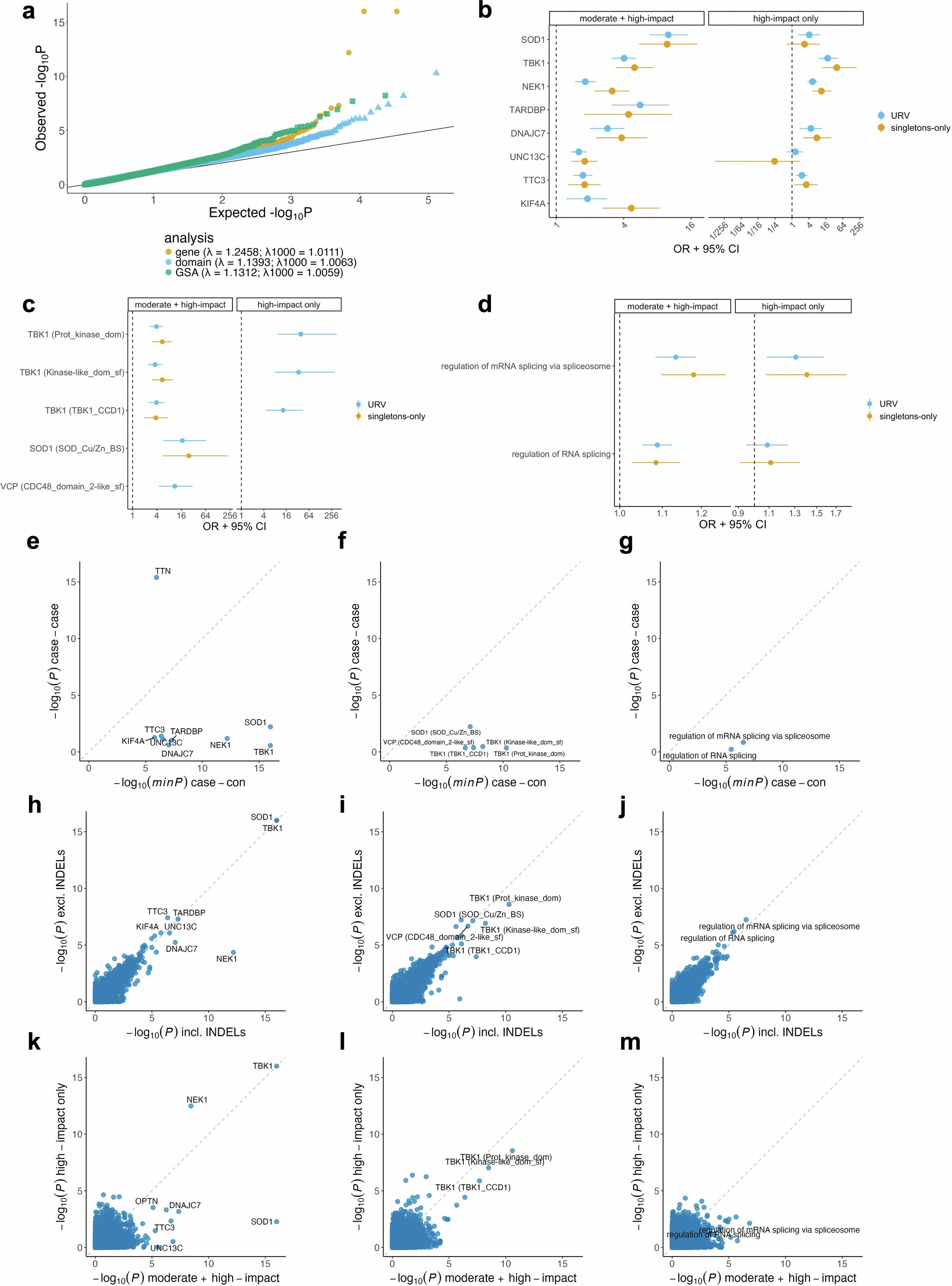 Extended Data Fig. 3: Ultra-rare variant burden analyses.