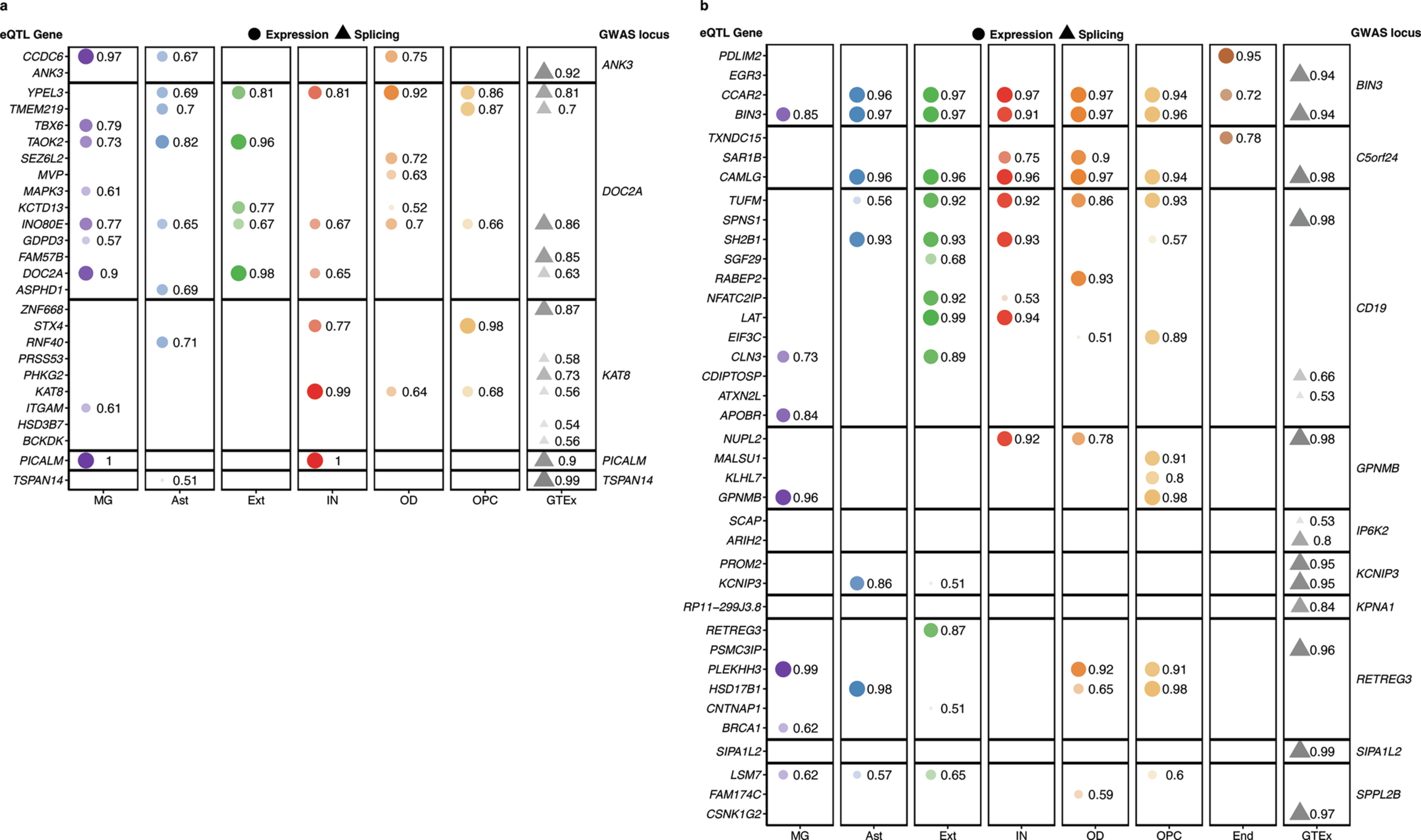 Extended Data Fig. 8: Colocalization between SingleBrain eQTLs and GTEx brain cortex sQTLs.