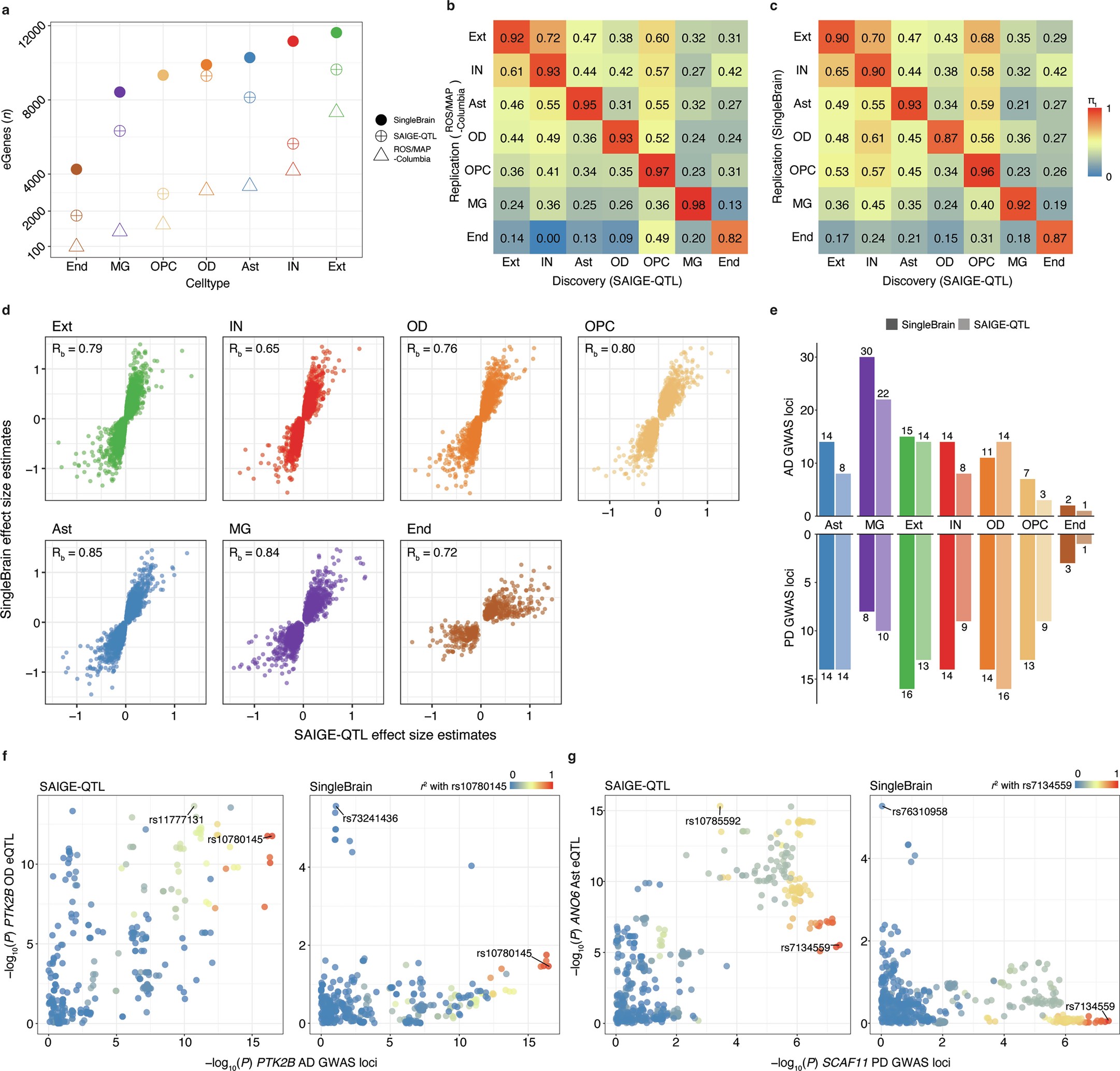 Extended Data Fig. 1: SAIGE-QTL and colocalization compared to SingleBrain.
