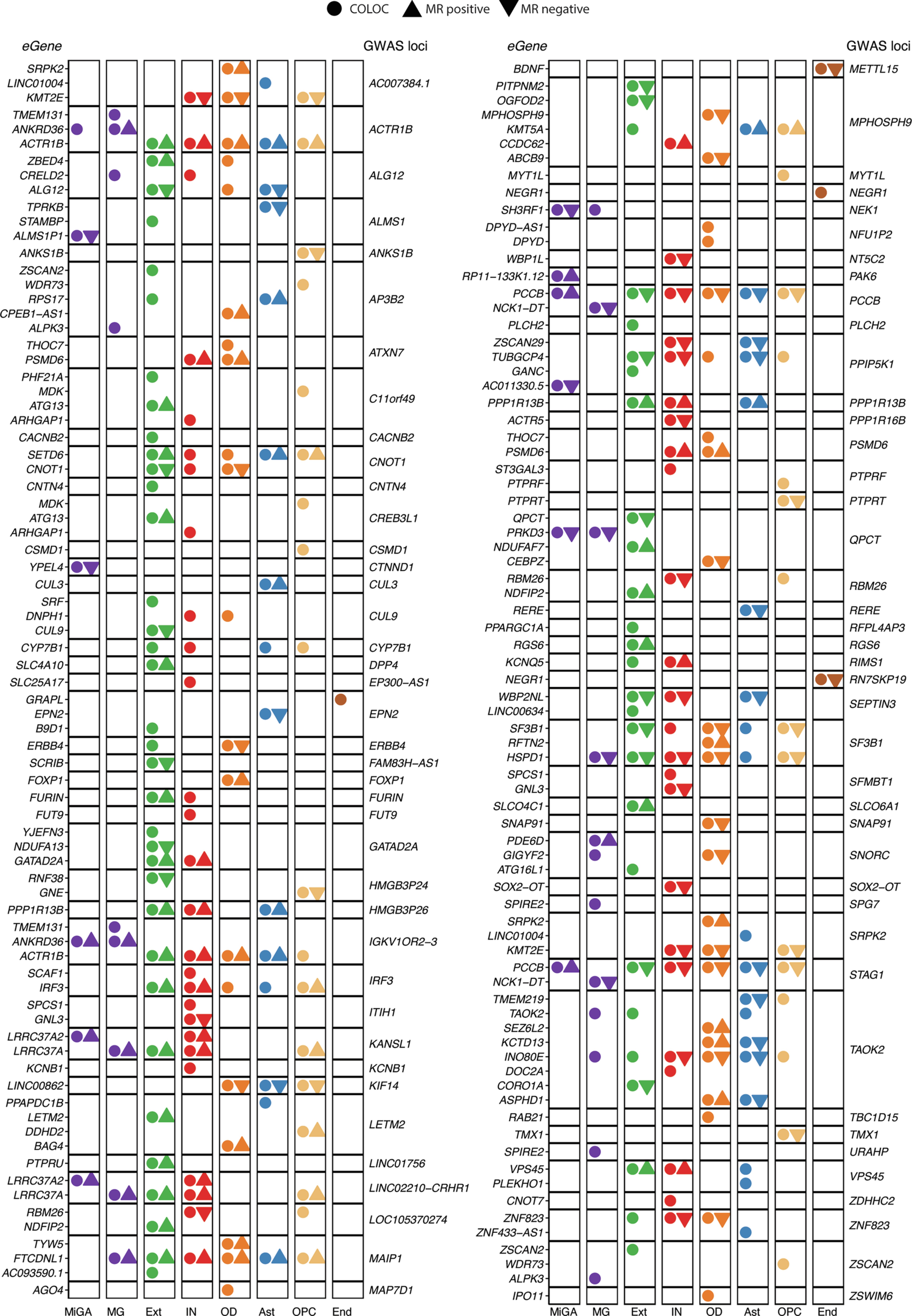 Extended Data Fig. 2: SCZ GWAS27 loci with a PP4 > 0.8 and significant MR association in SingleBrain and MiGA.