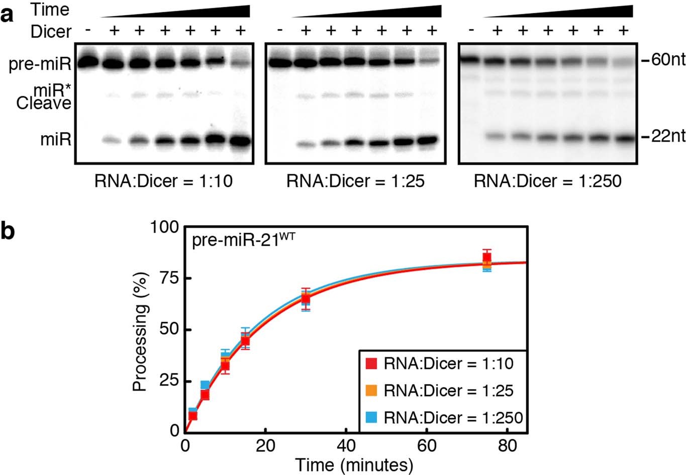 Extended Data Fig. 10
