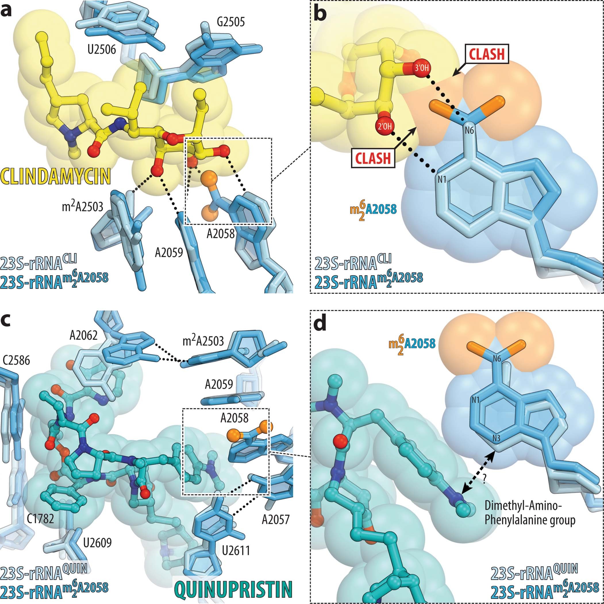 Extended Data Fig. 7