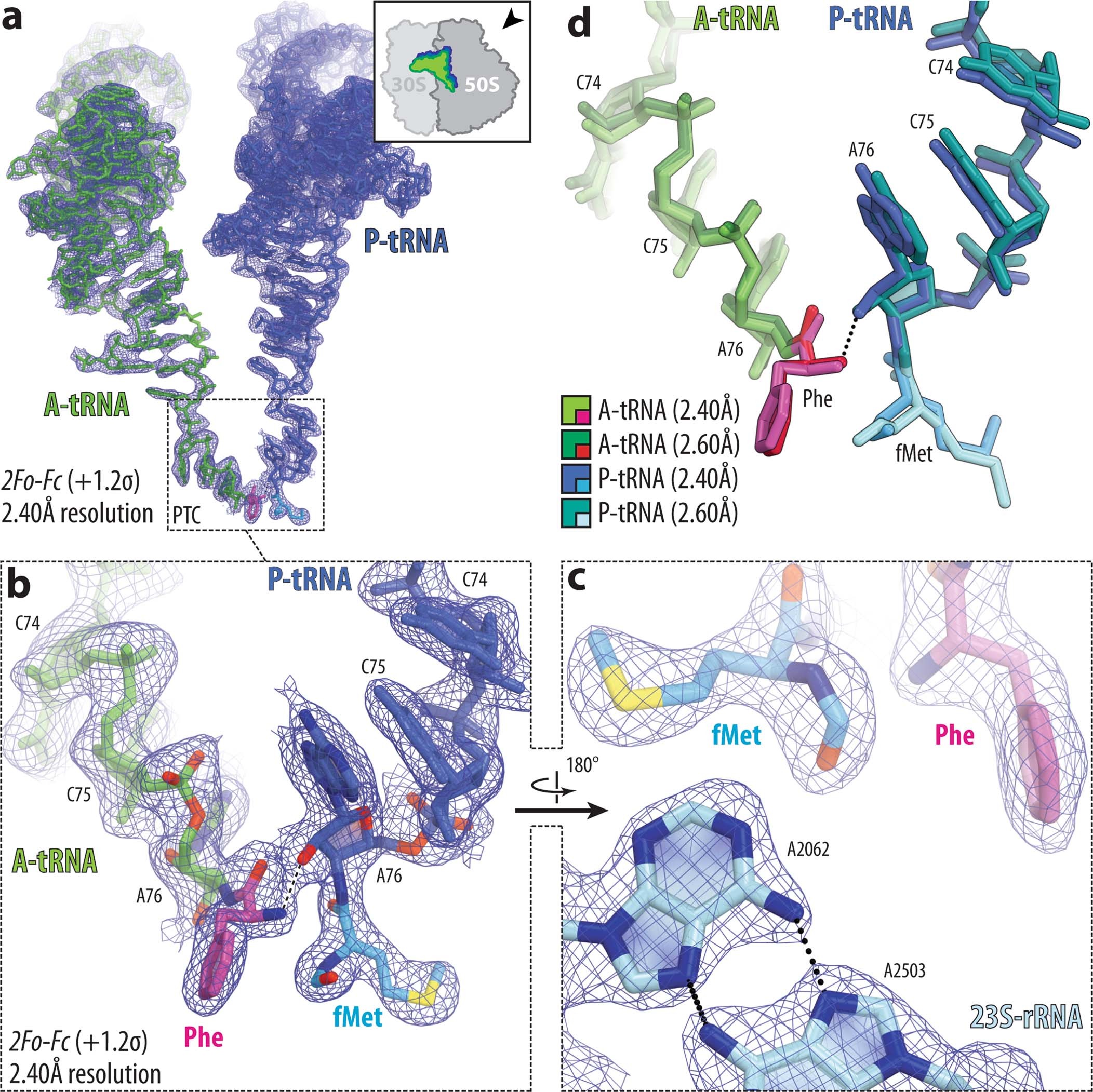 Extended Data Fig. 2