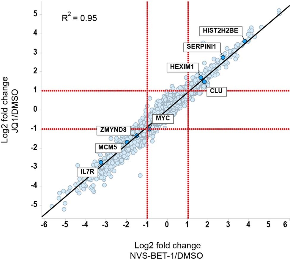 Extended Data Fig. 4: Keratinocyte global gene expression profiles after exposure to JQ1 and NVS-BET-1 are highly correlated.