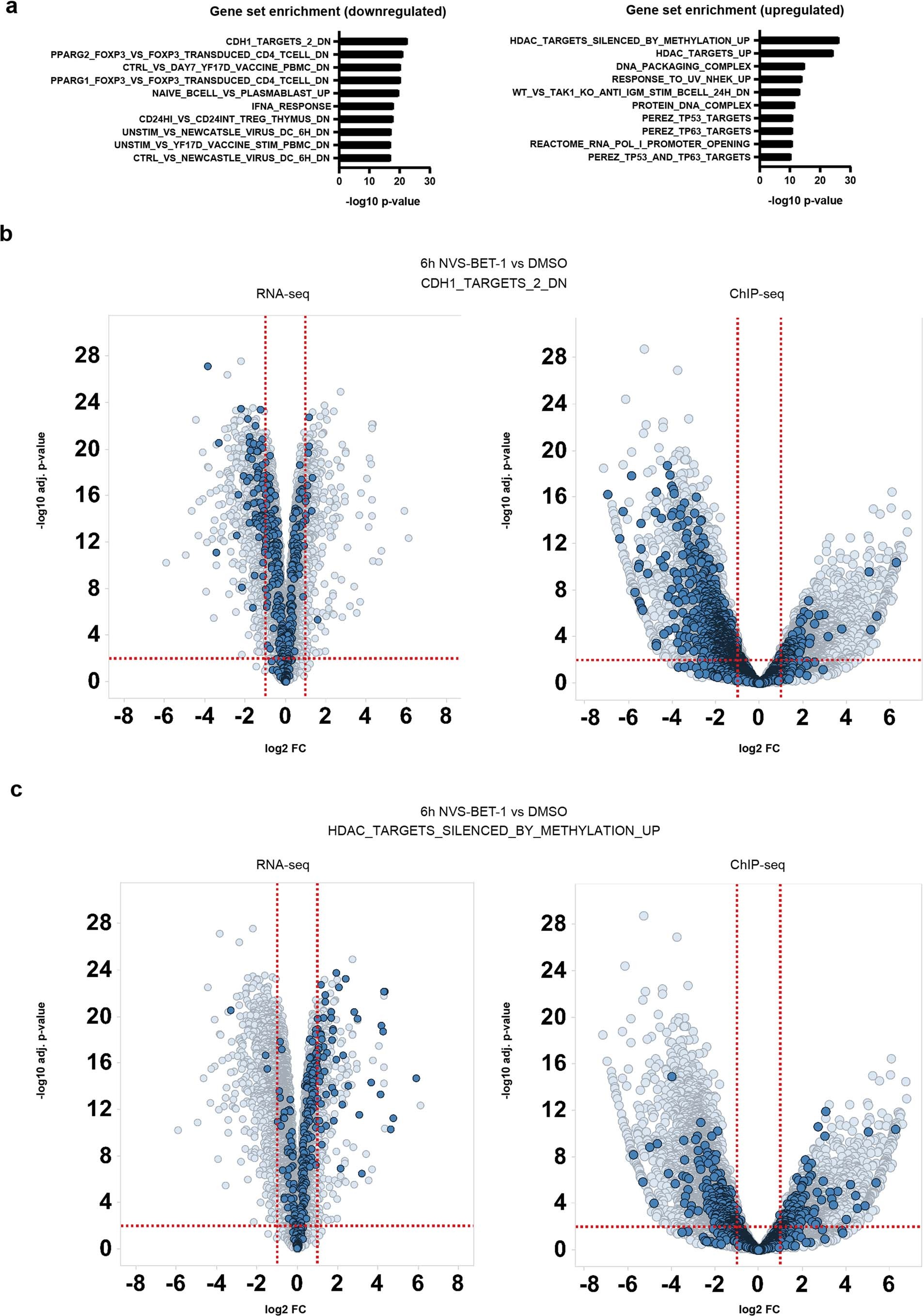 Extended Data Fig. 8: MSigDB gene set enrichment analysis.