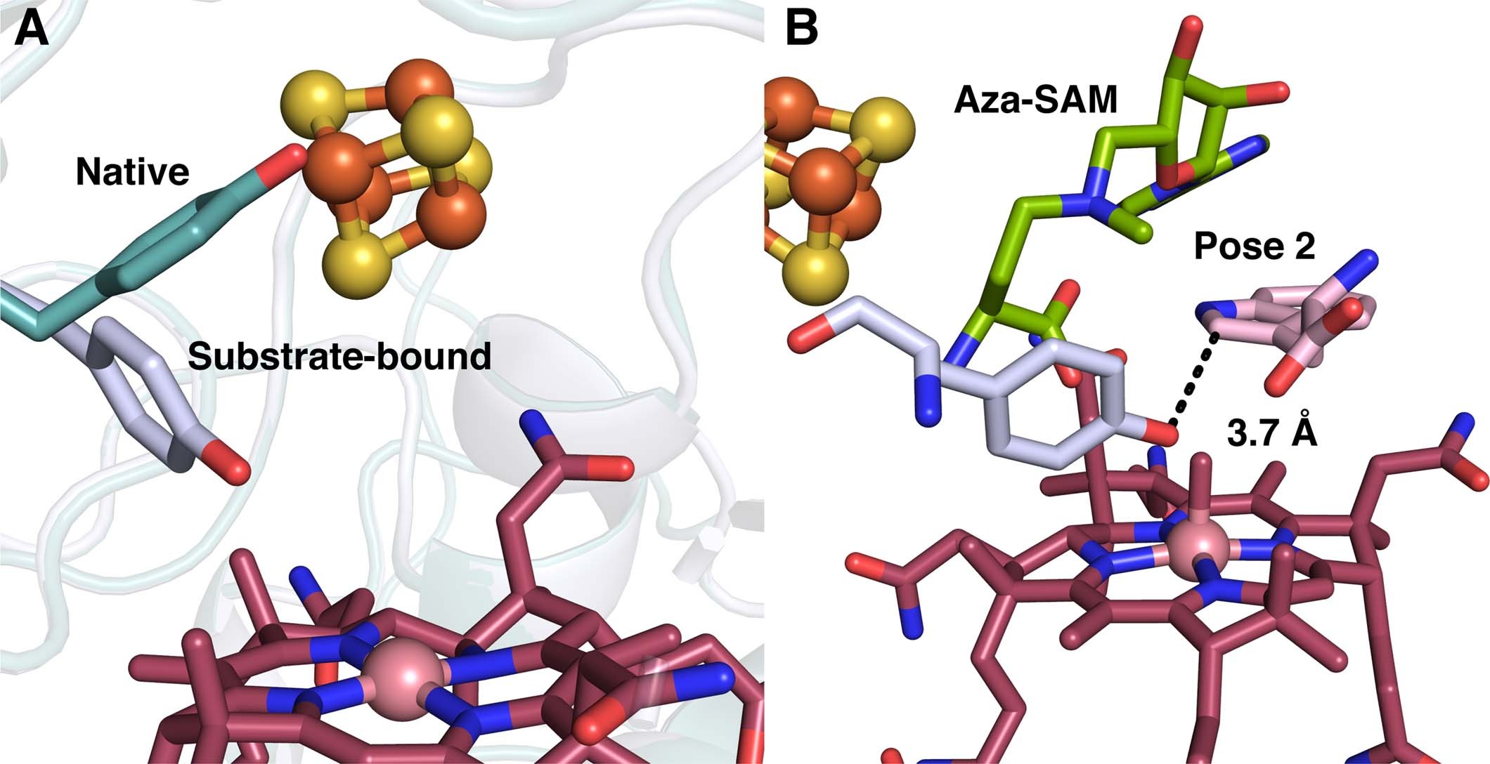Extended Data Fig. 8
