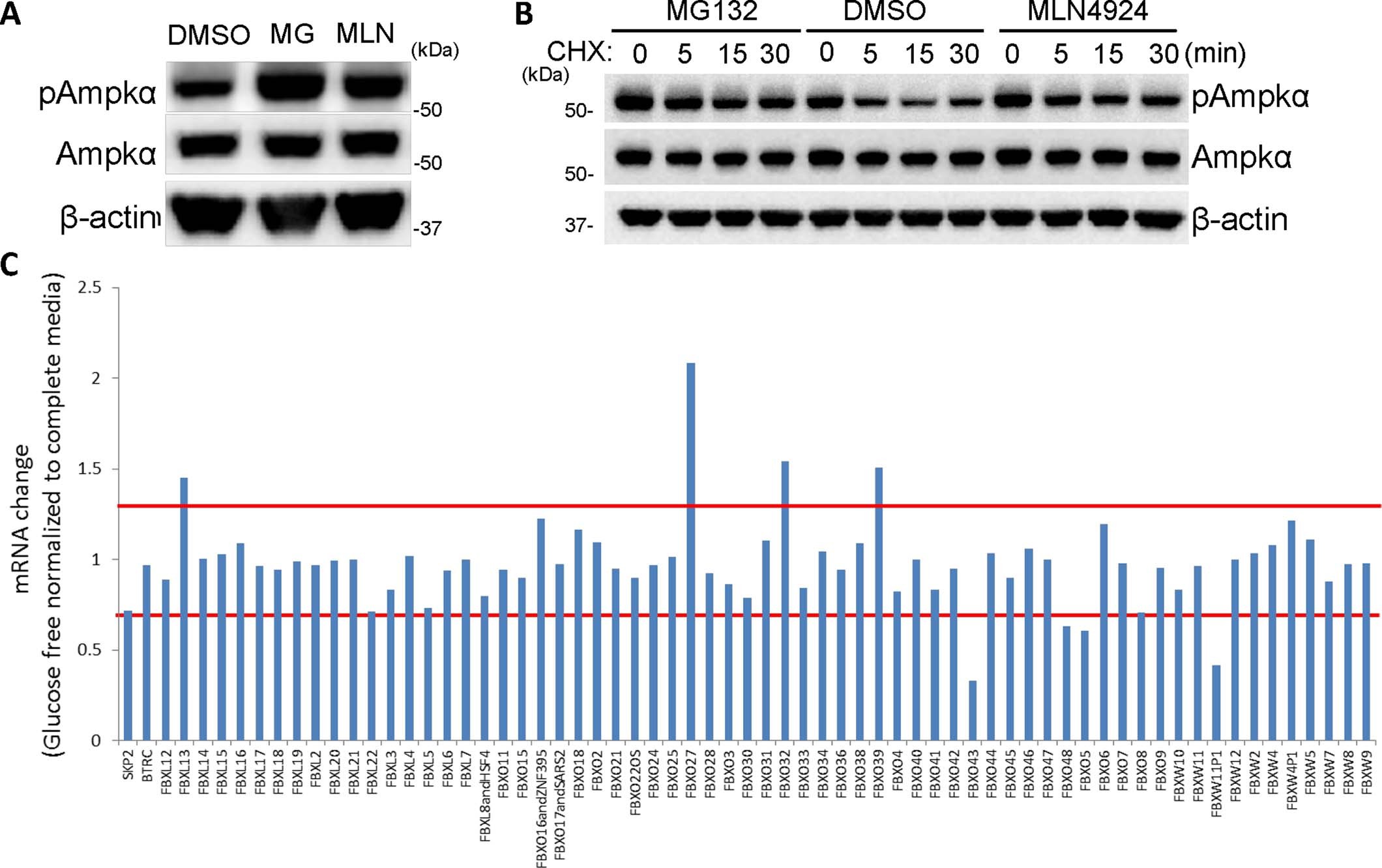 Extended Data Fig. 2