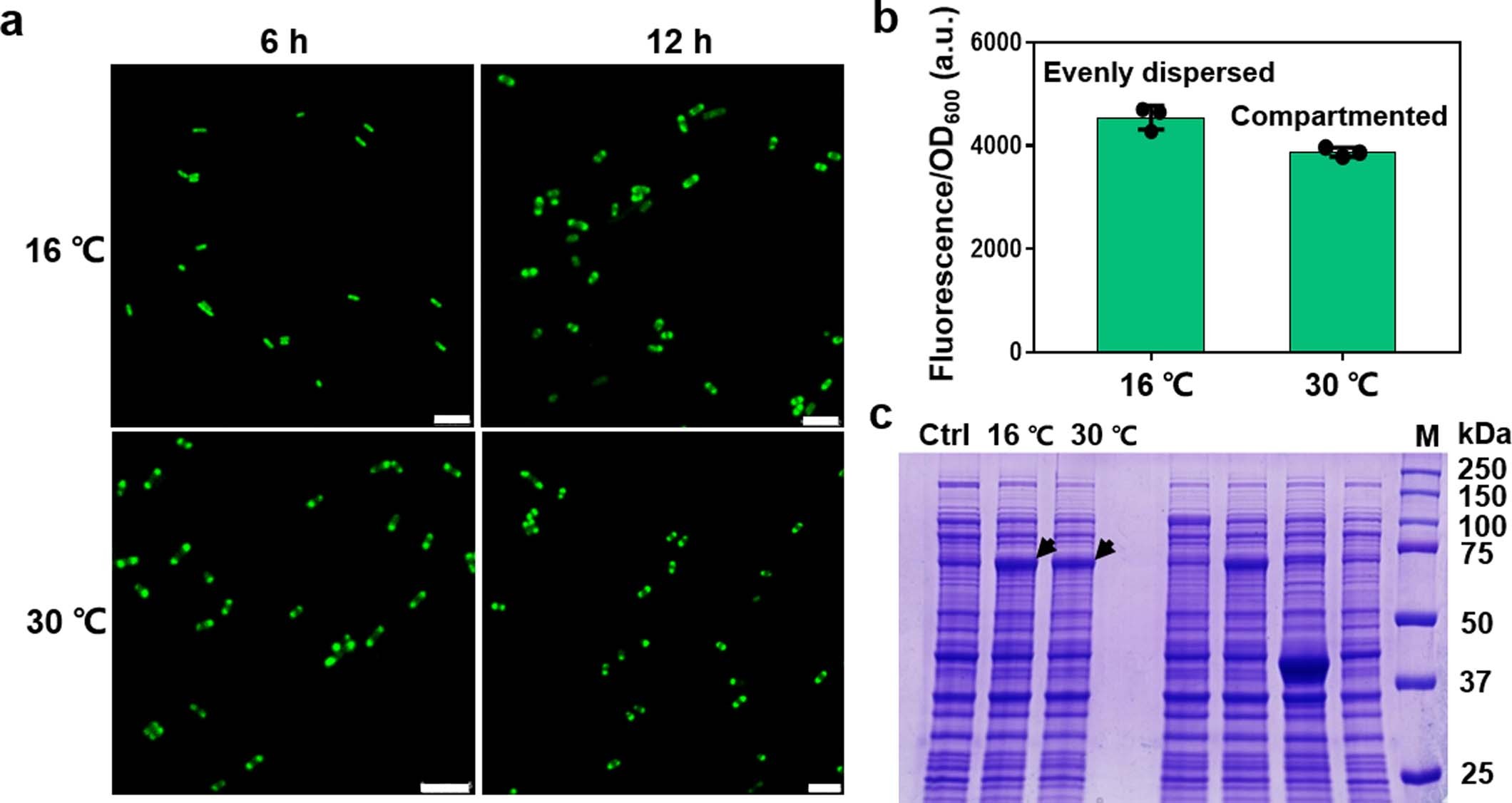 Extended Data Fig. 2