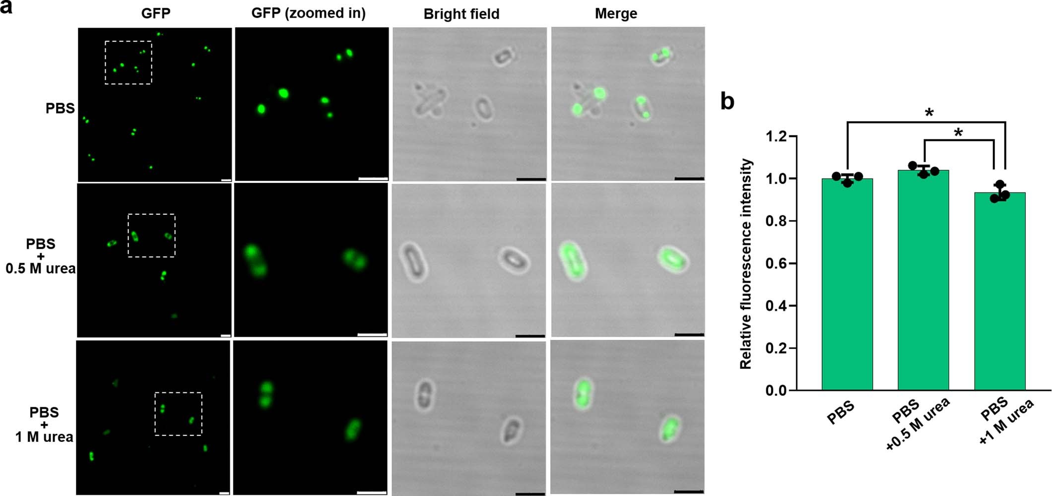 Extended Data Fig. 3