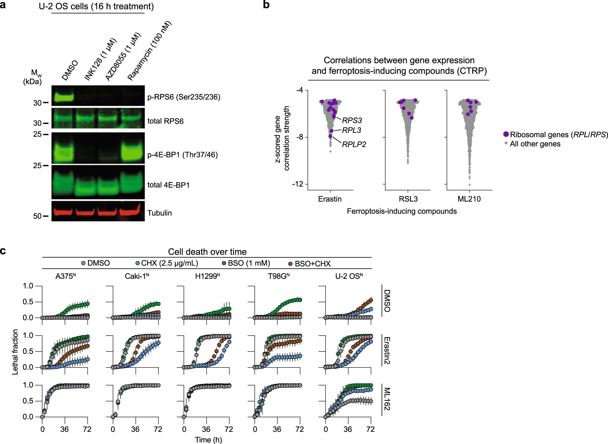 Extended Data Fig. 8