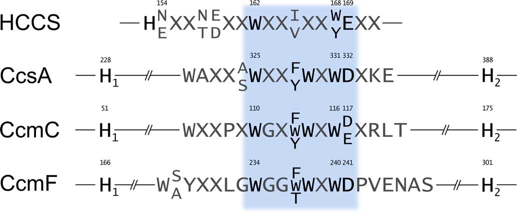 Extended Data Fig. 2
