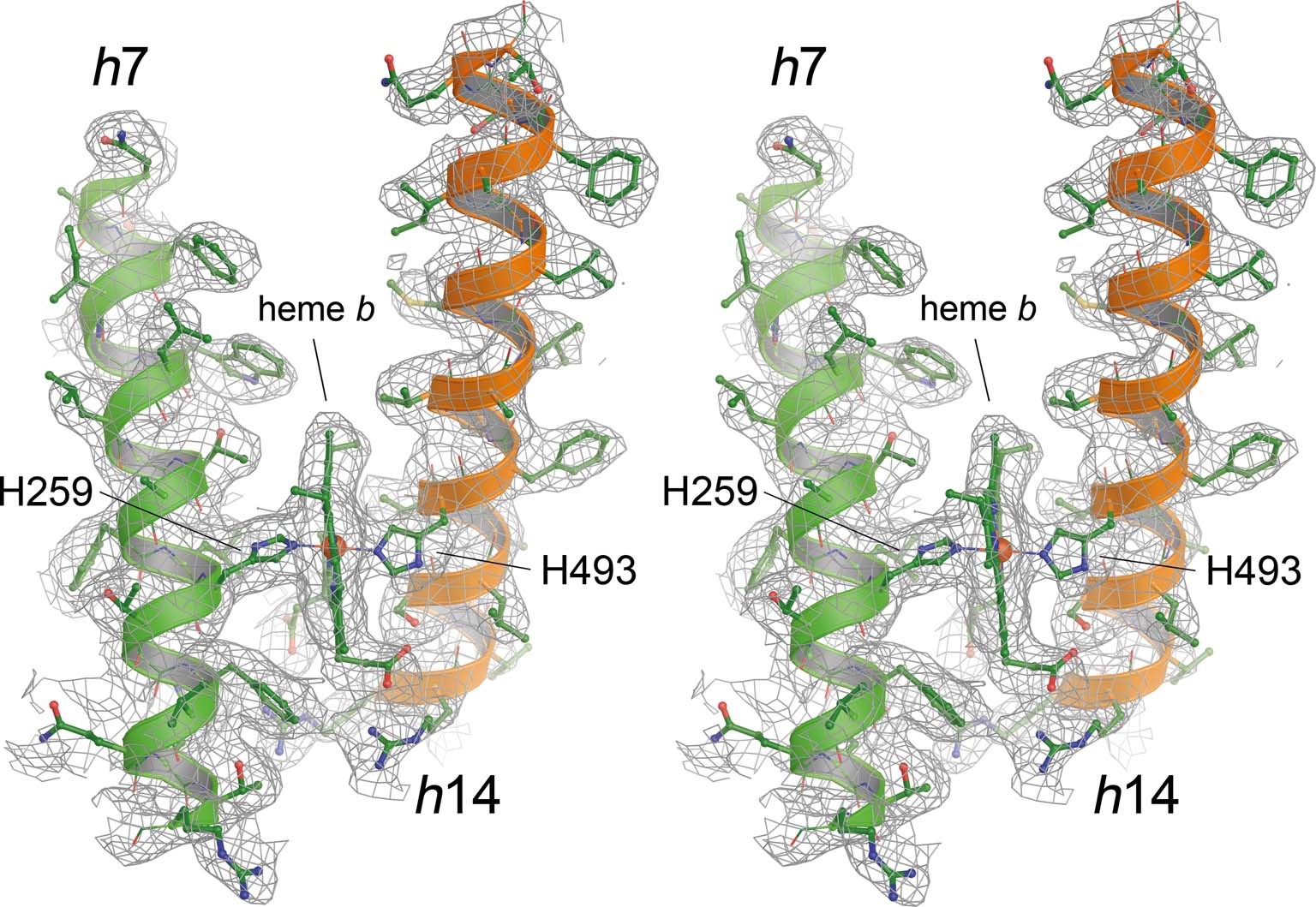 Extended Data Fig. 5