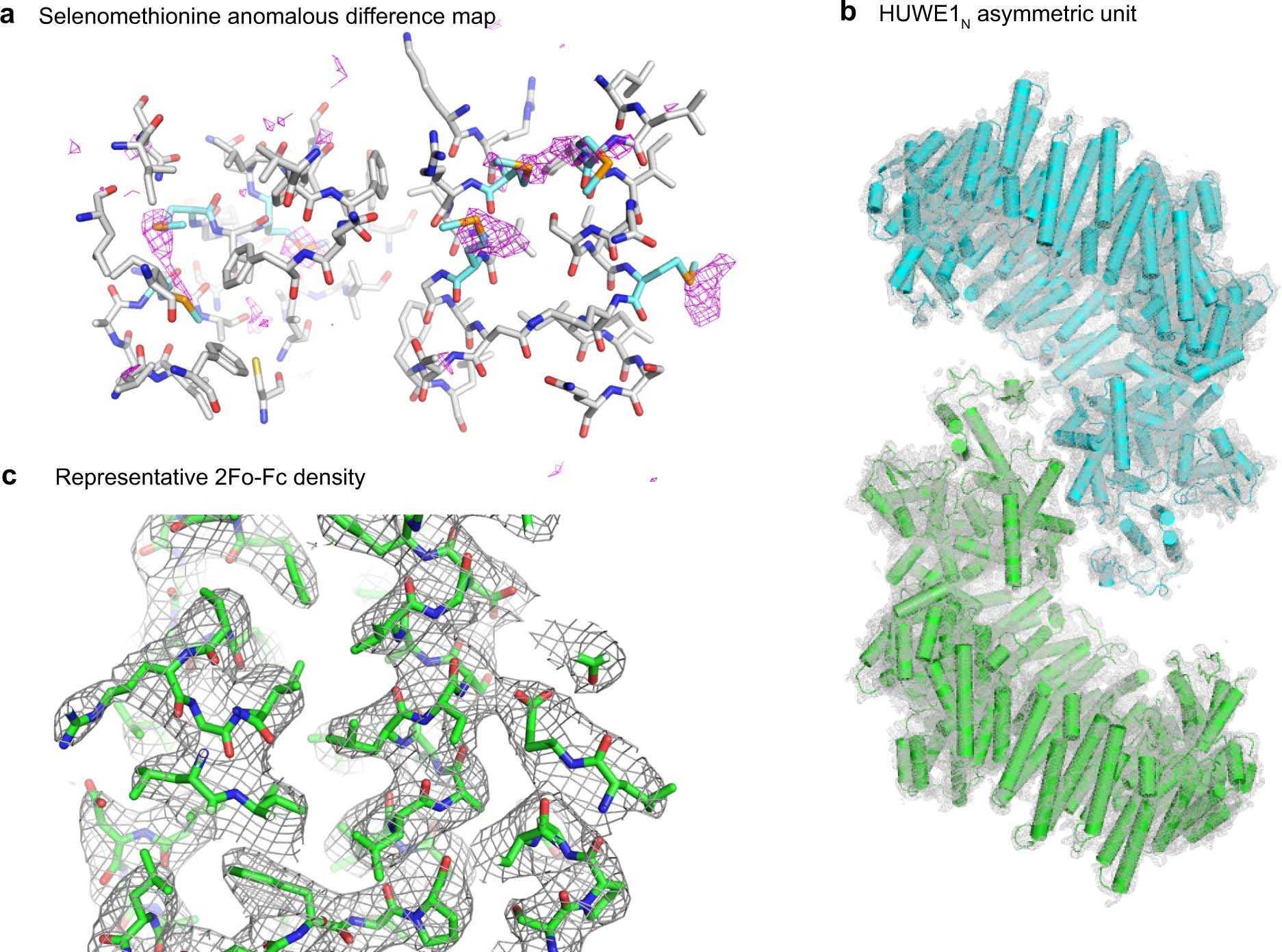 Extended Data Fig. 1