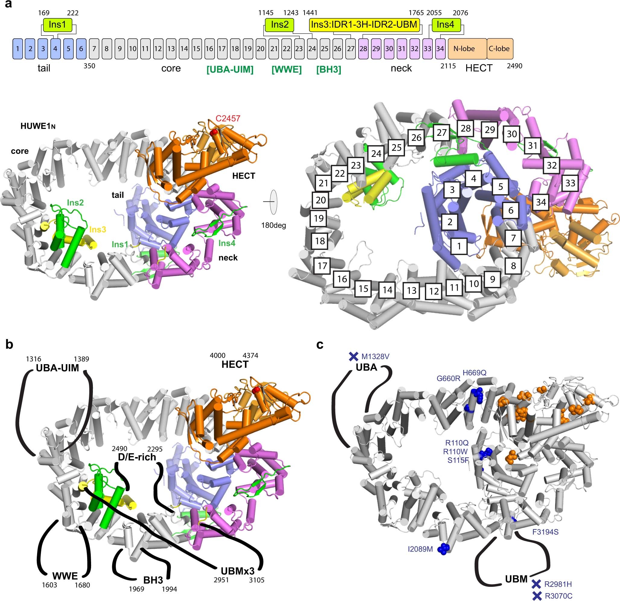 Extended Data Fig. 2
