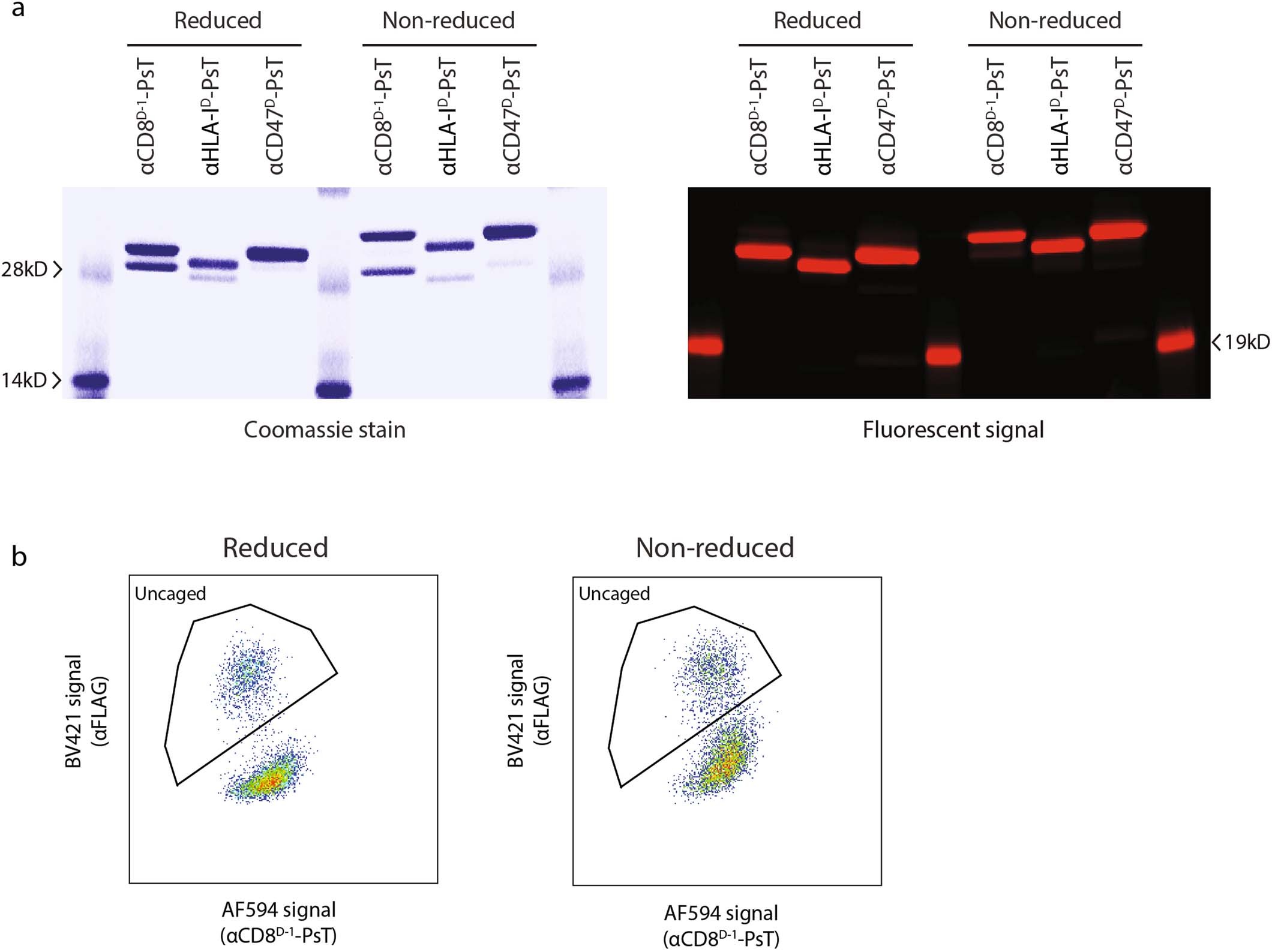 Extended Data Fig. 5