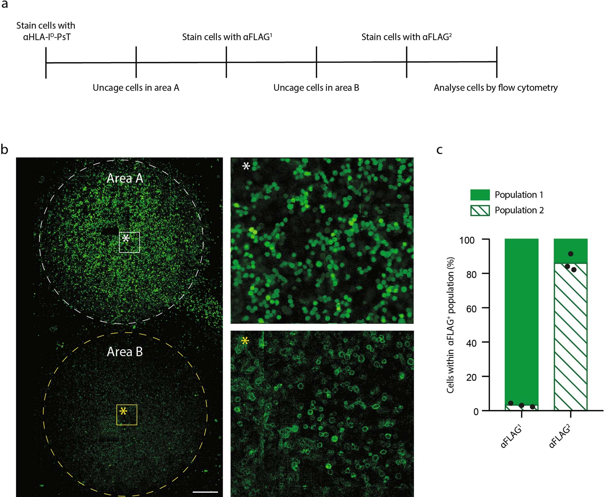 Extended data Fig. 9