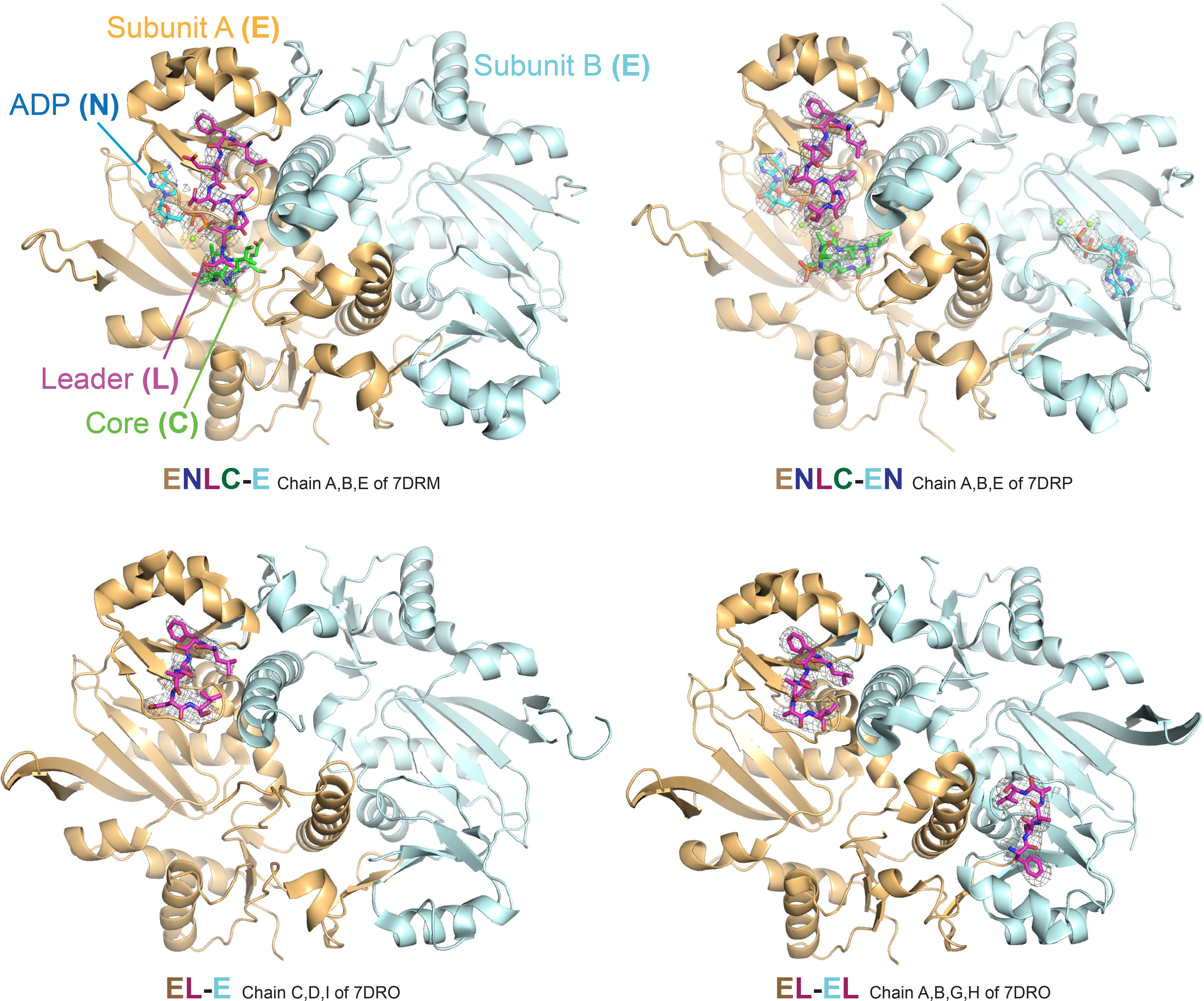 Extended Data Fig. 5