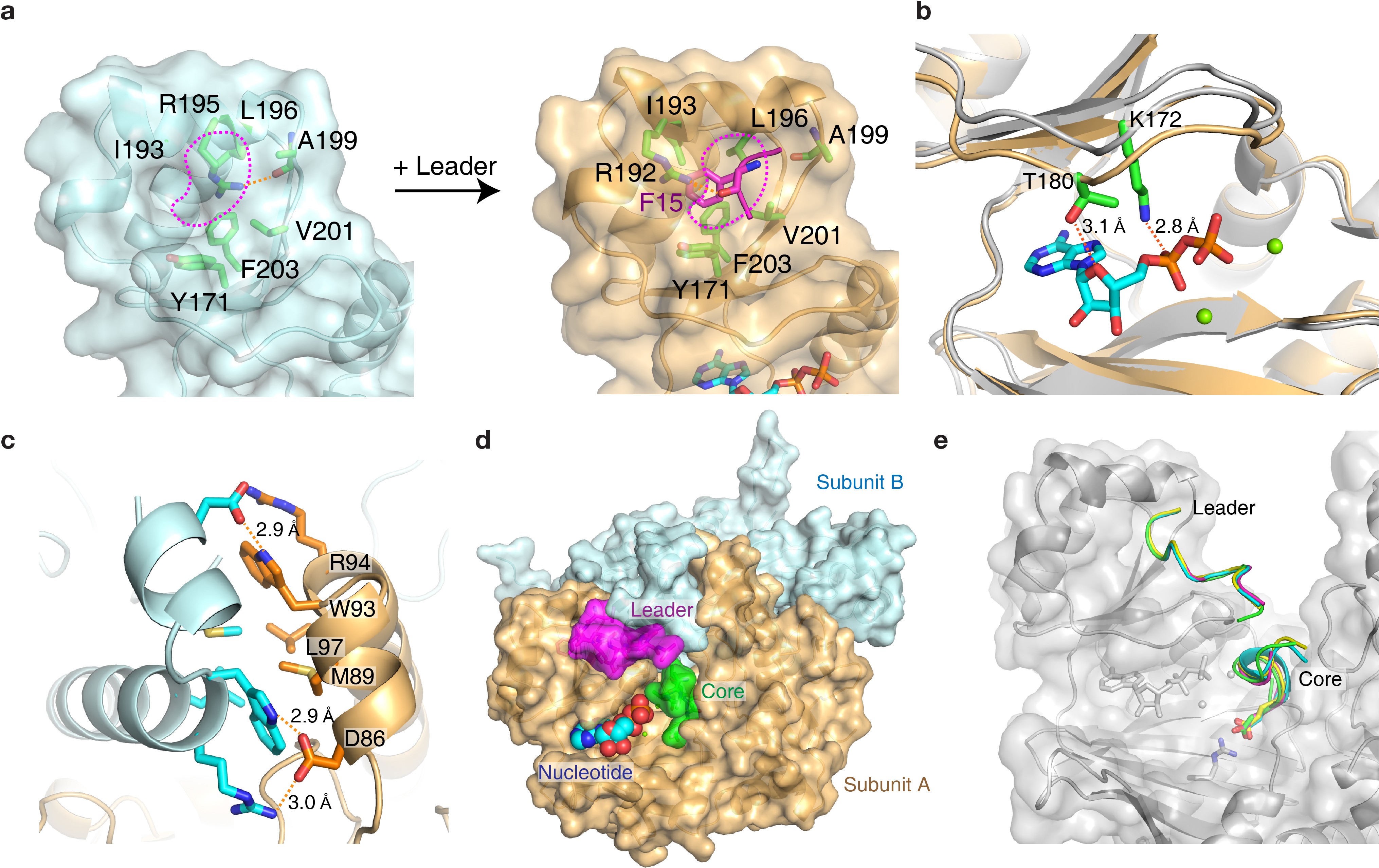 Extended Data Fig. 10