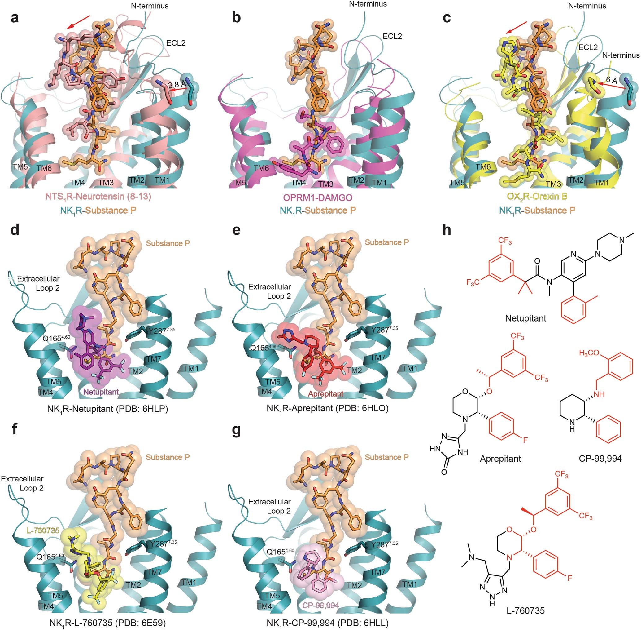 Extended Data Fig. 5