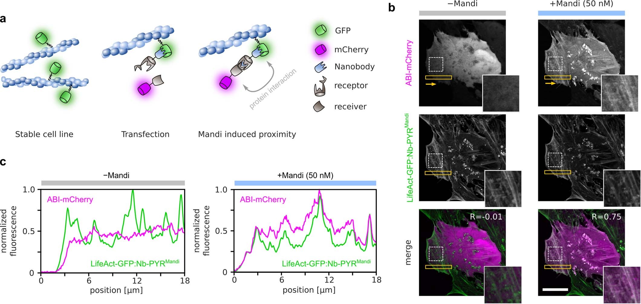 Extended Data Fig. 6