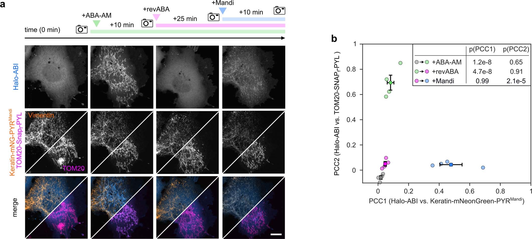 Extended Data Fig. 8