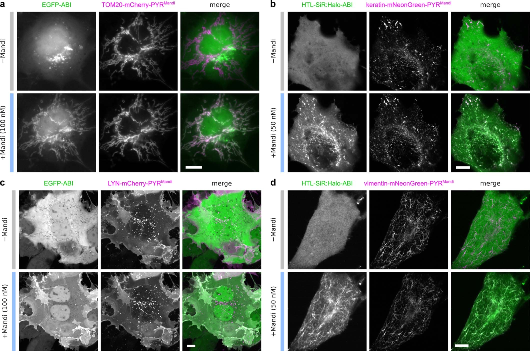 Extended Data Fig. 2